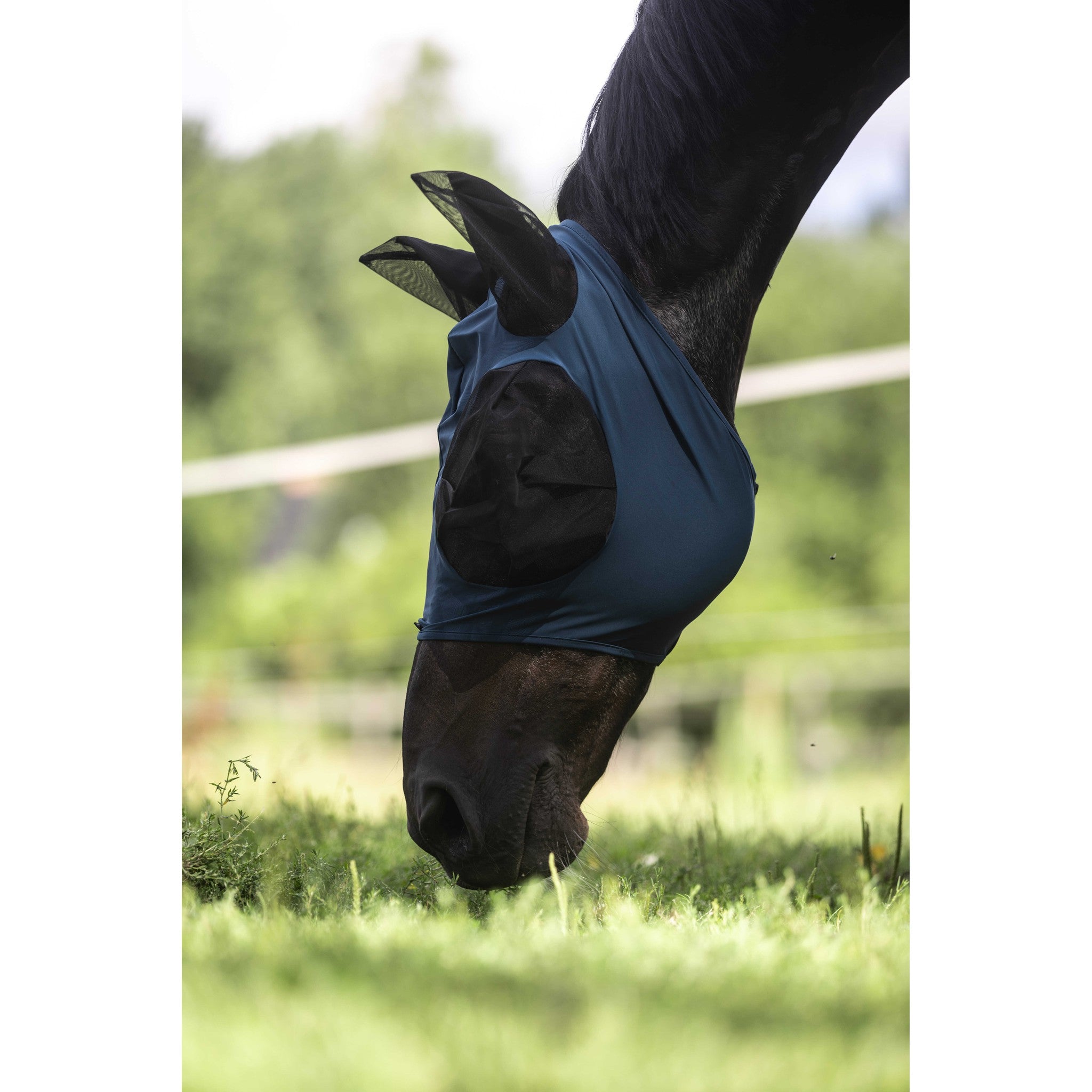 LAMI-CELL Lycra Fly Mask Blue - 306046206_ambi_1