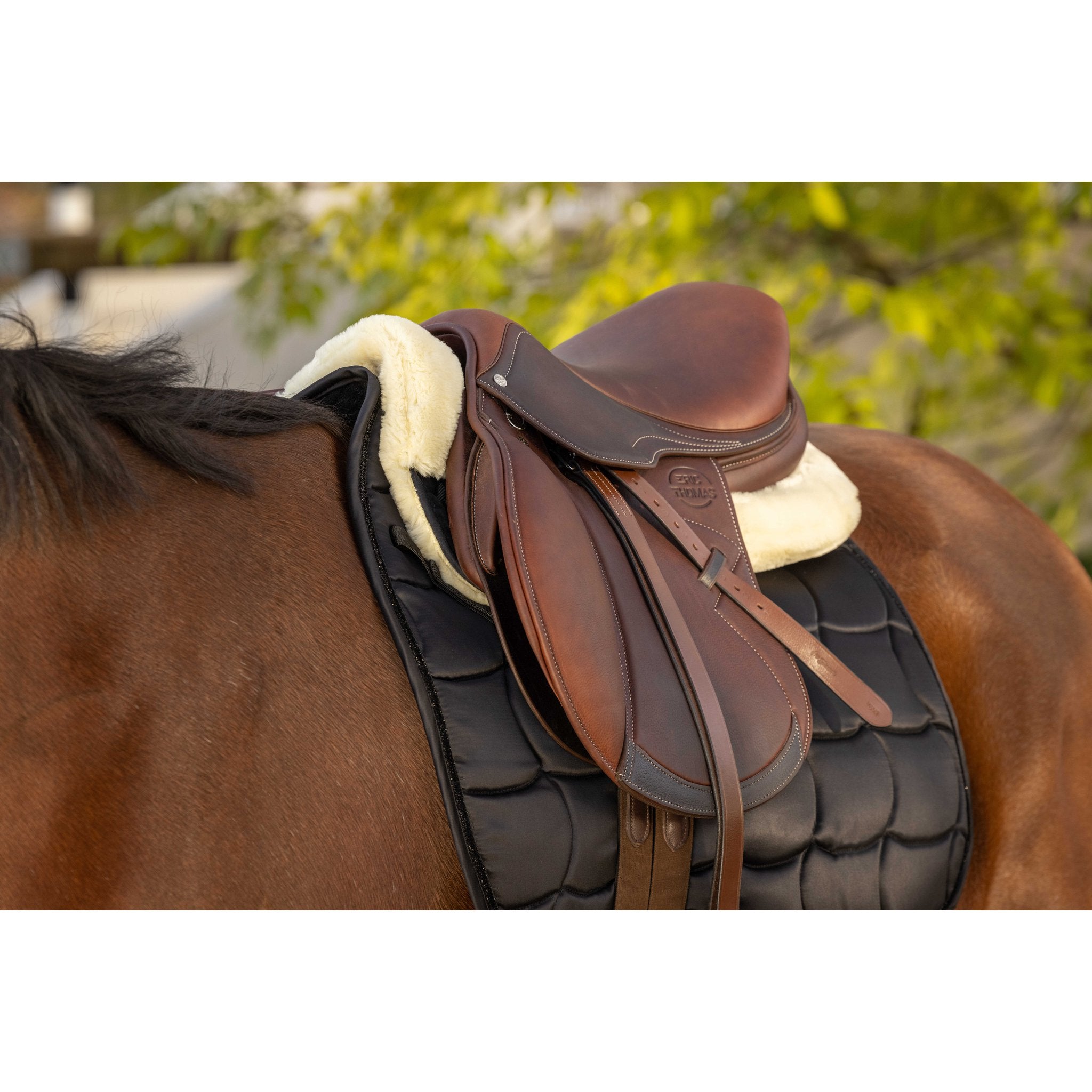 EQUITHÈME Teddy Back Pad Black/ecru - 206074205_ambi_2