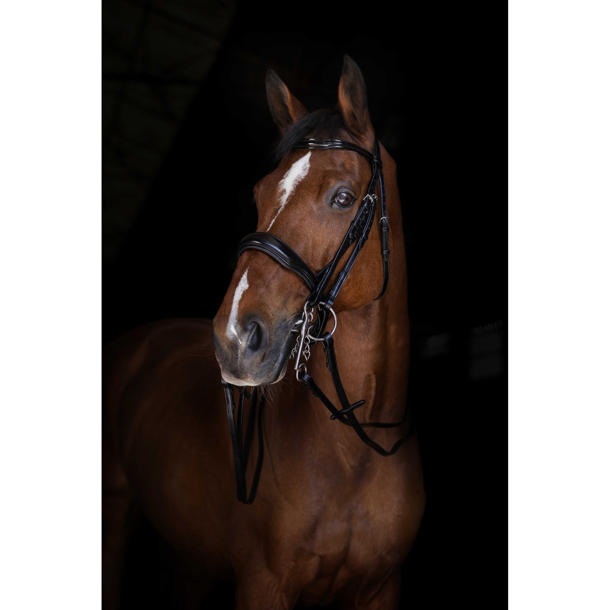 Eric Thomas Elite Smooth Reins Black - 305655302_ambi_1