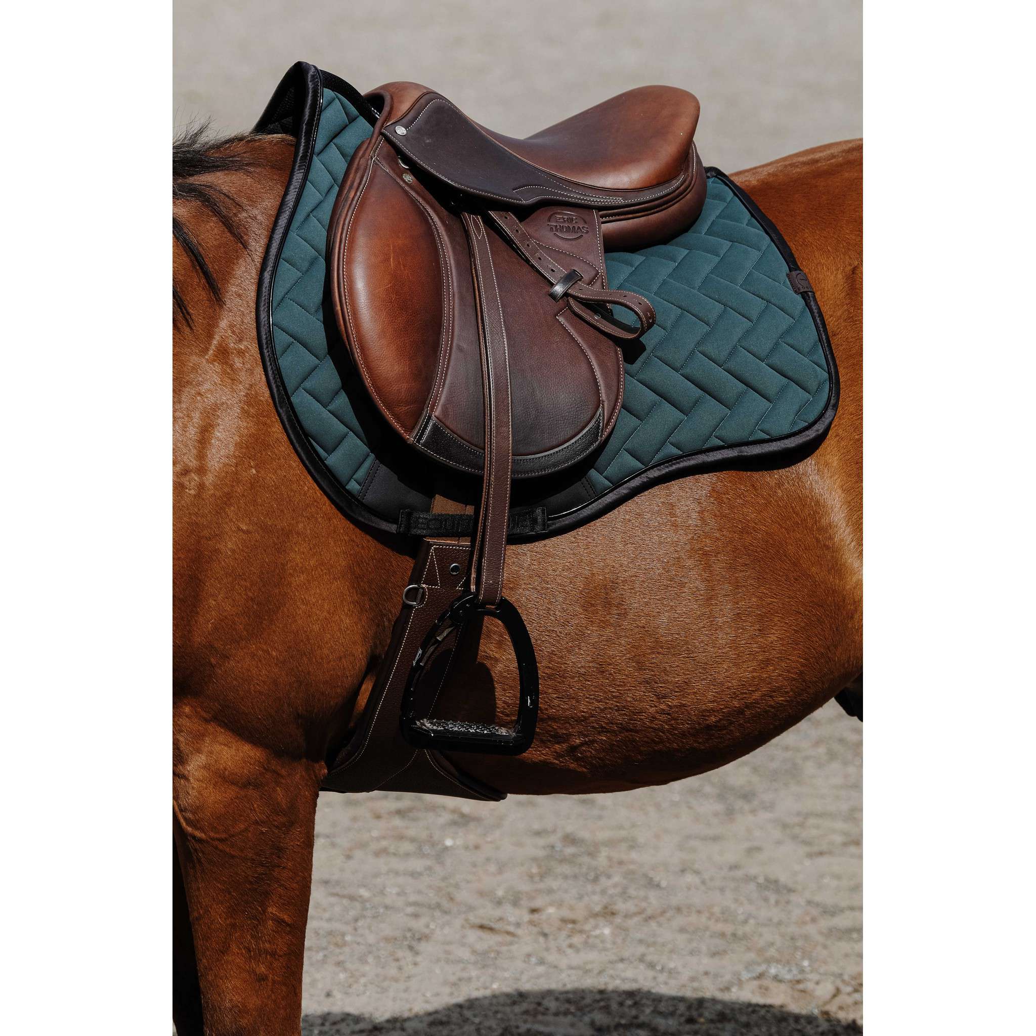EQUITHÈME Impulsion Saddle Pad - All purpose Green 204006009