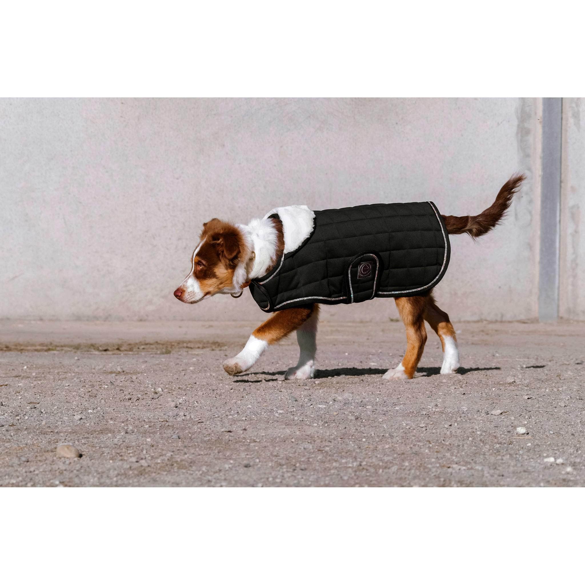 Je t'aime EQUITHÈME Velours dog rug Black 409037240