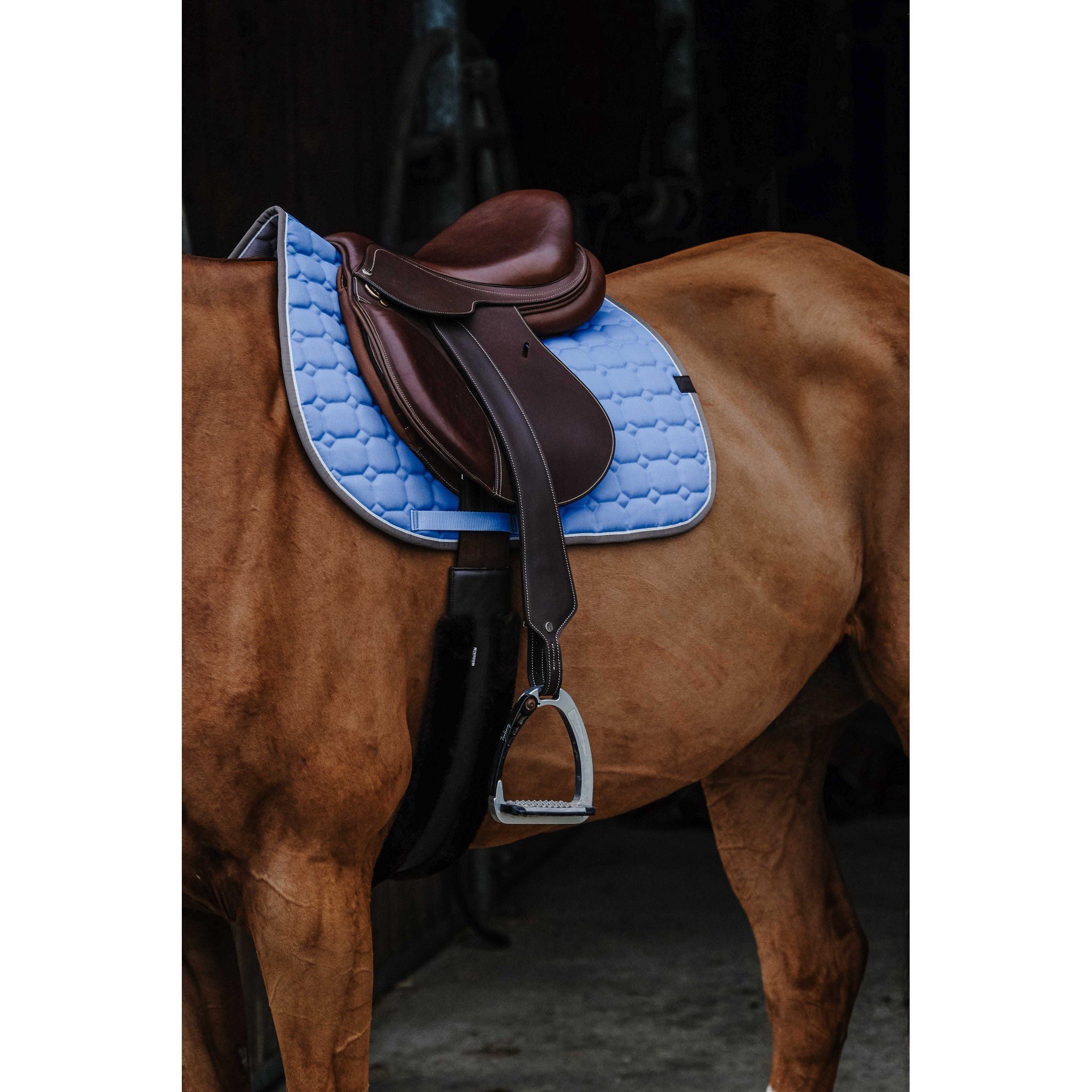 EQUITHÈME Orion saddle pad - All purpose Blue/light blue 204774012