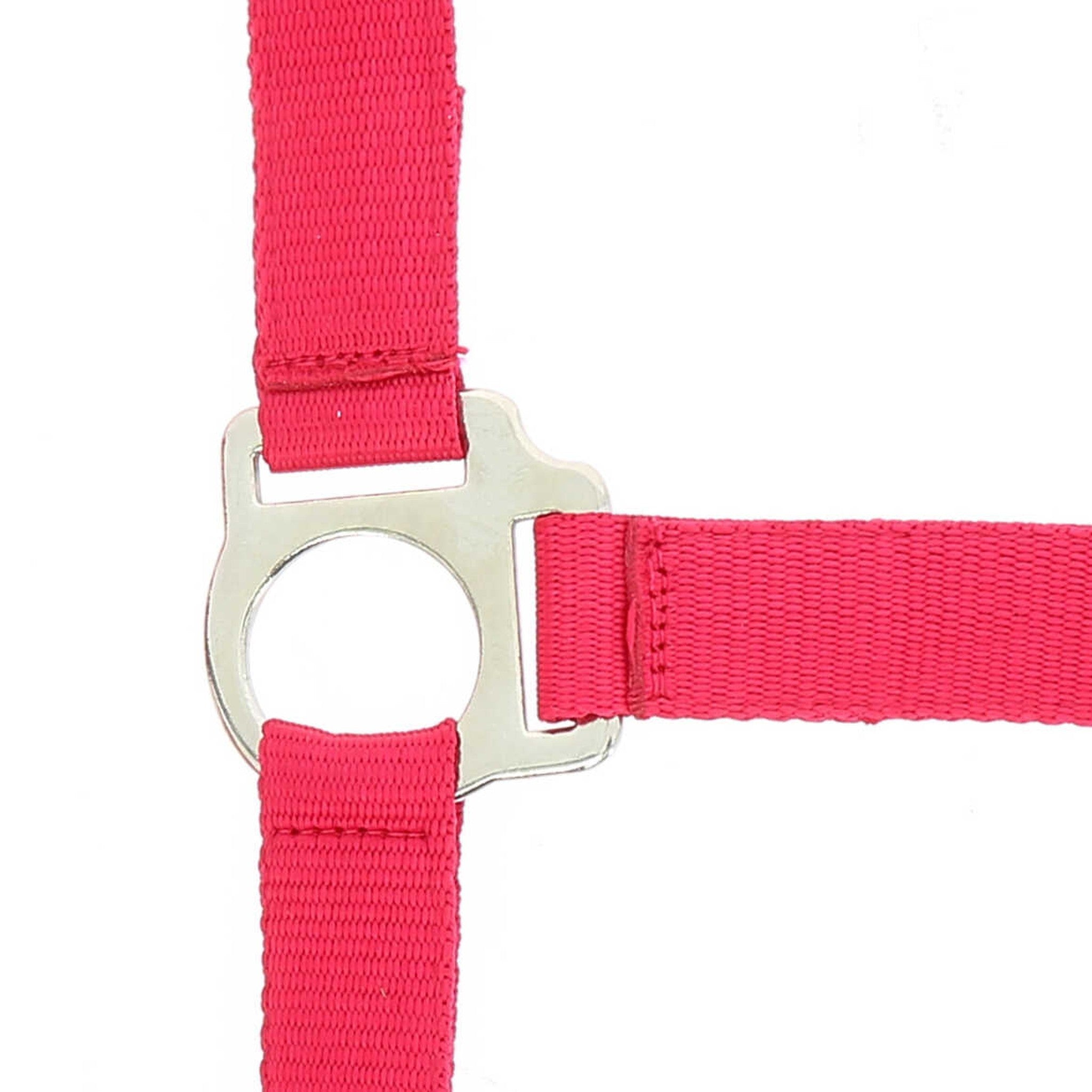 Riding World Club Headcollar and leadrope set Fuchsia 510118332