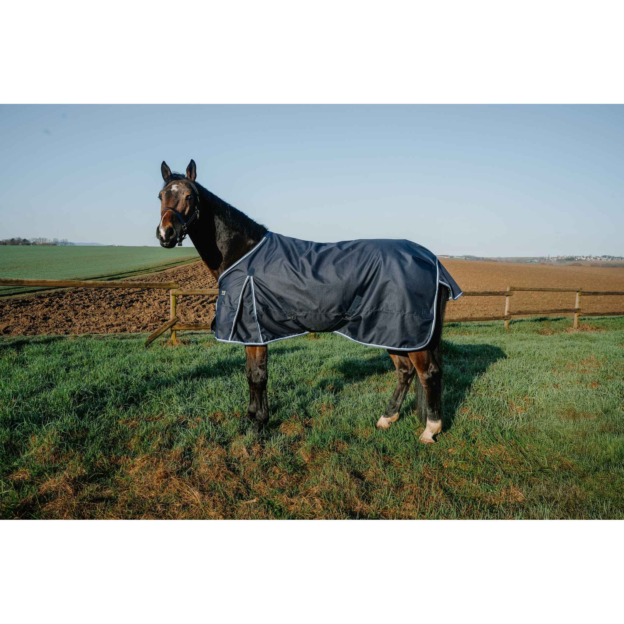 RIDING WORLD First Outdoor Rug Navy blue - 400973070_ambi_1