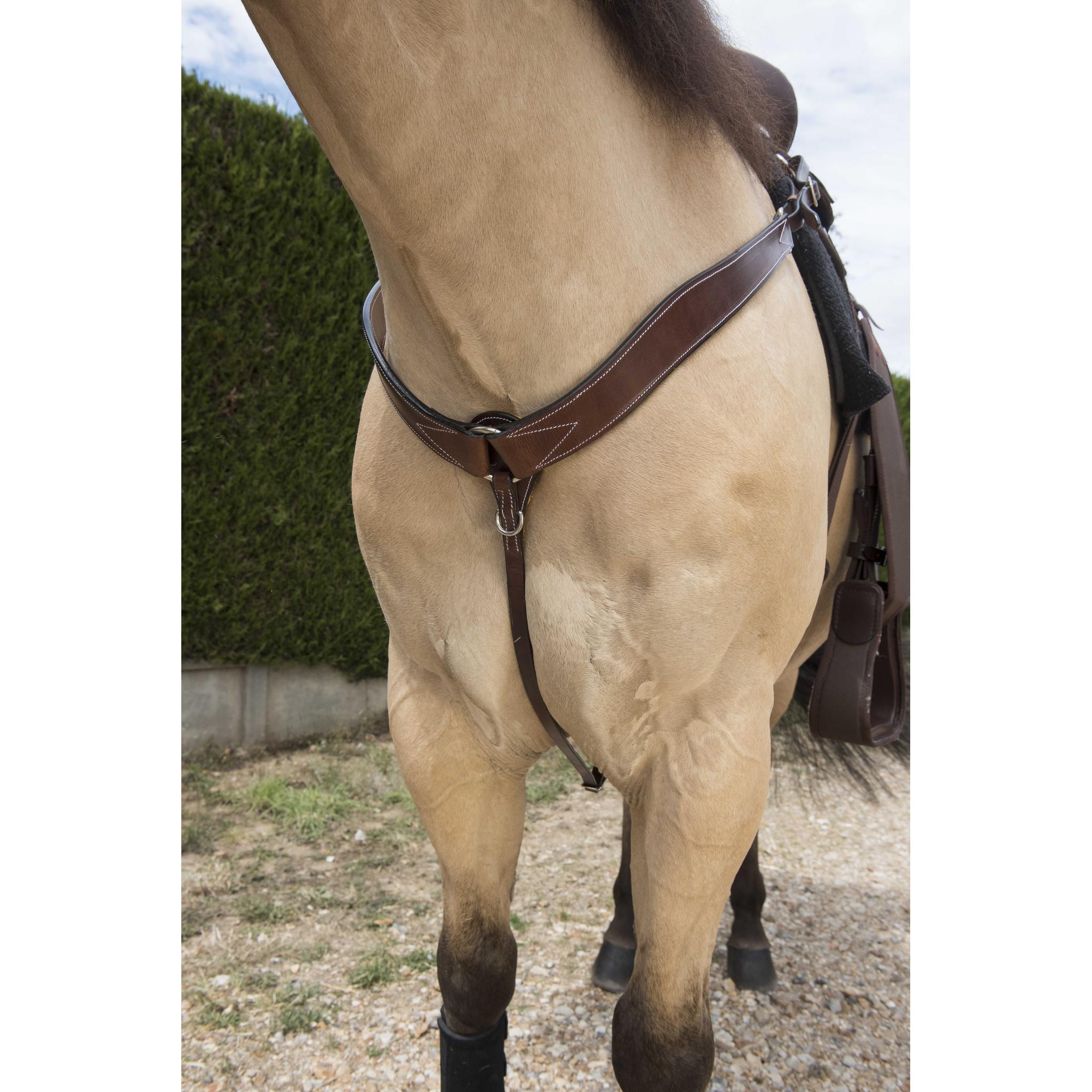 Westride Stitched western hunting breastplate Havana 802214018