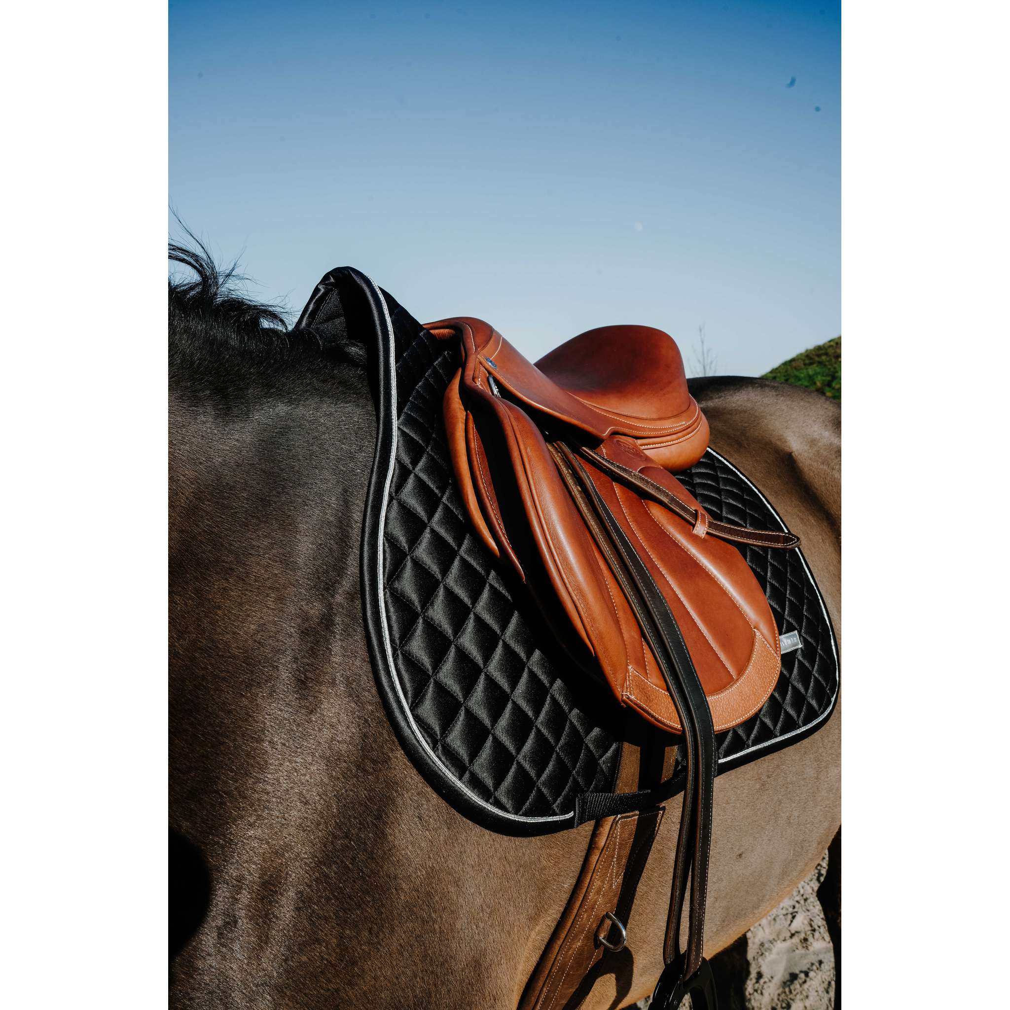 EQUITHÈME All-Purpose Saddle Pad - Mother of Pearl Black - 204029002_ambi_2