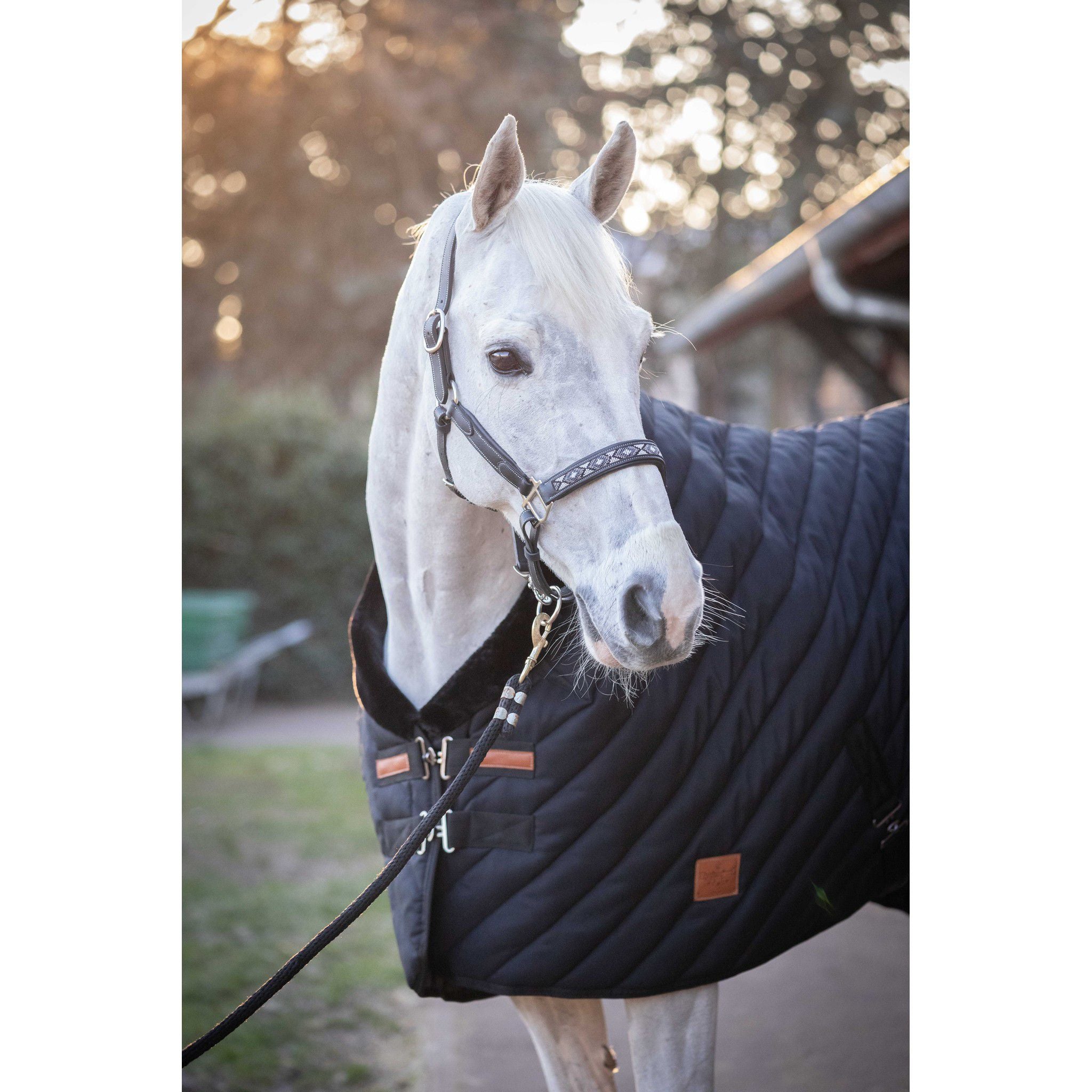 Paddock Sports Diagonal Stable Rug Black 400030259