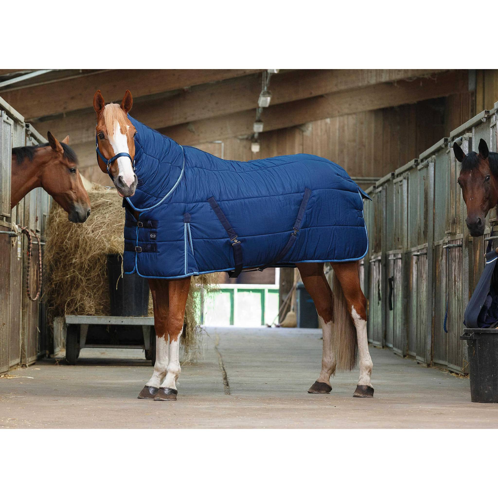 Riding World Stable rug - Combo Navy/light blue 400506763
