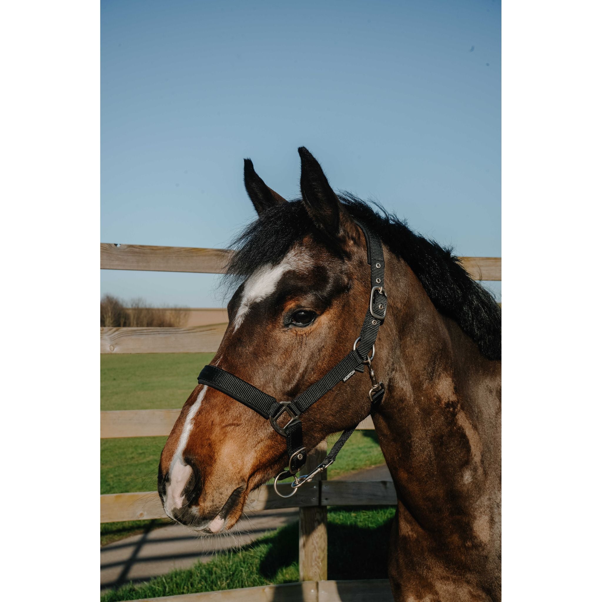 NORTON Pearl Halter Black - 510343302_ambi_1