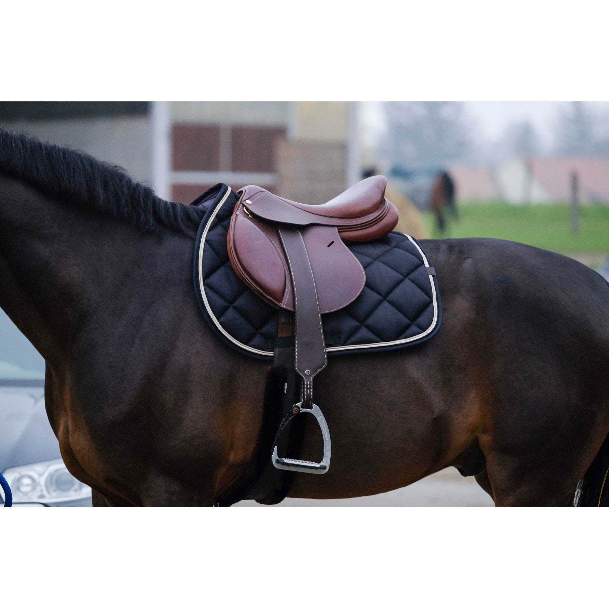 EQUITHÈME Classic Saddle pad - All purpose Black 204773002
