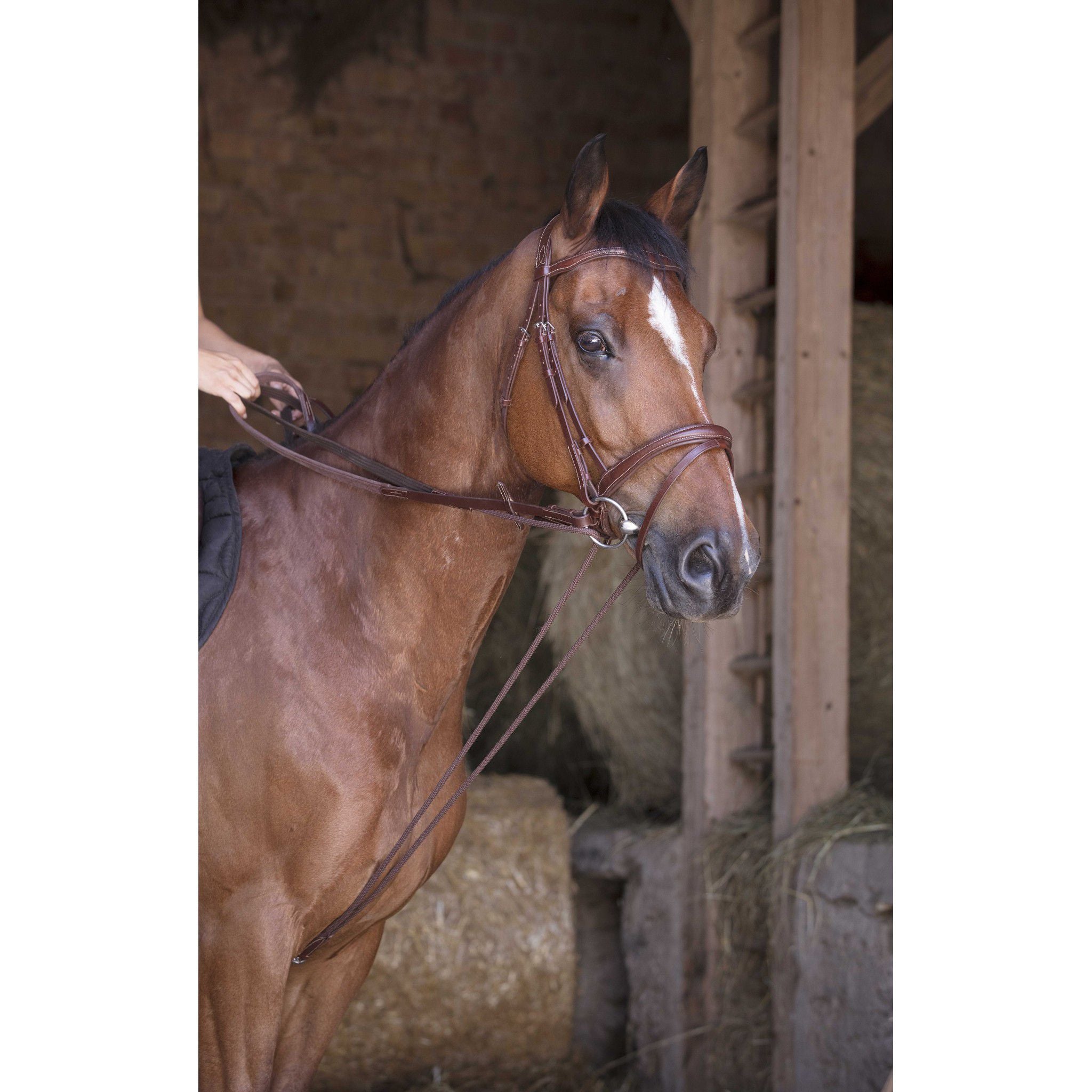 Norton Pro Draw Reins, leather/ rope Havana 305063318