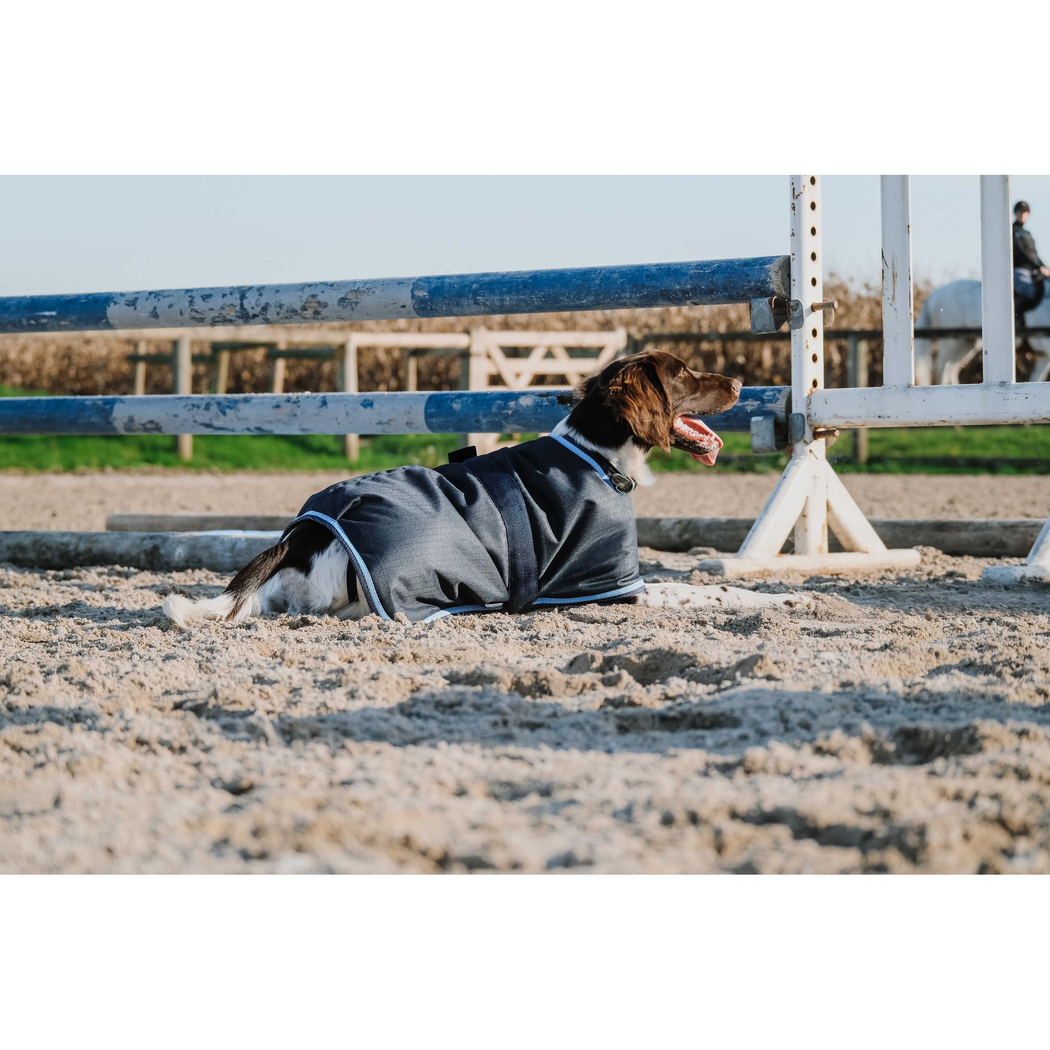 Riding World dog rug 600D Navy blue 409098730