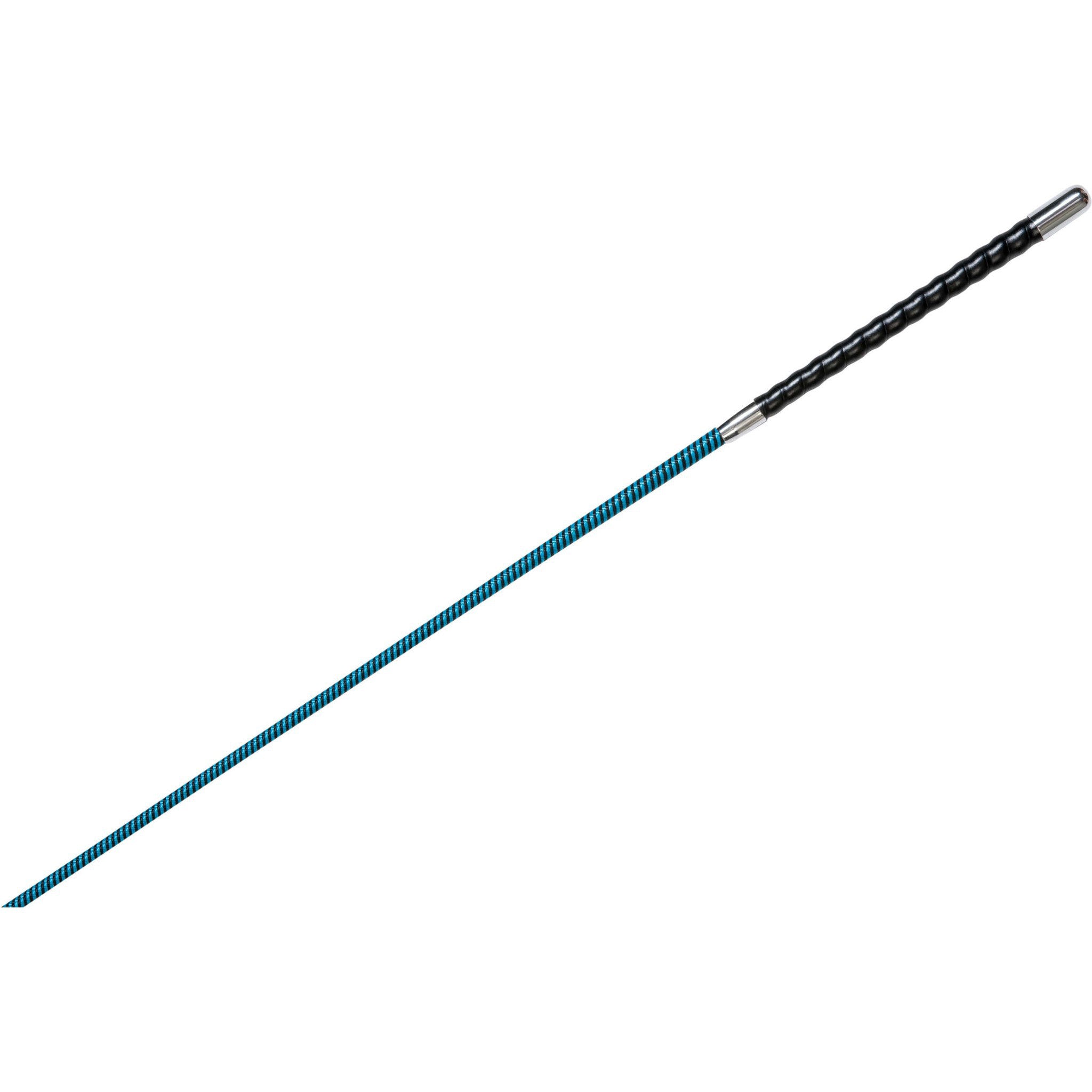 WHIP & GO - Removable Tourillon - Lunge Whip Black/turquoise 953404002