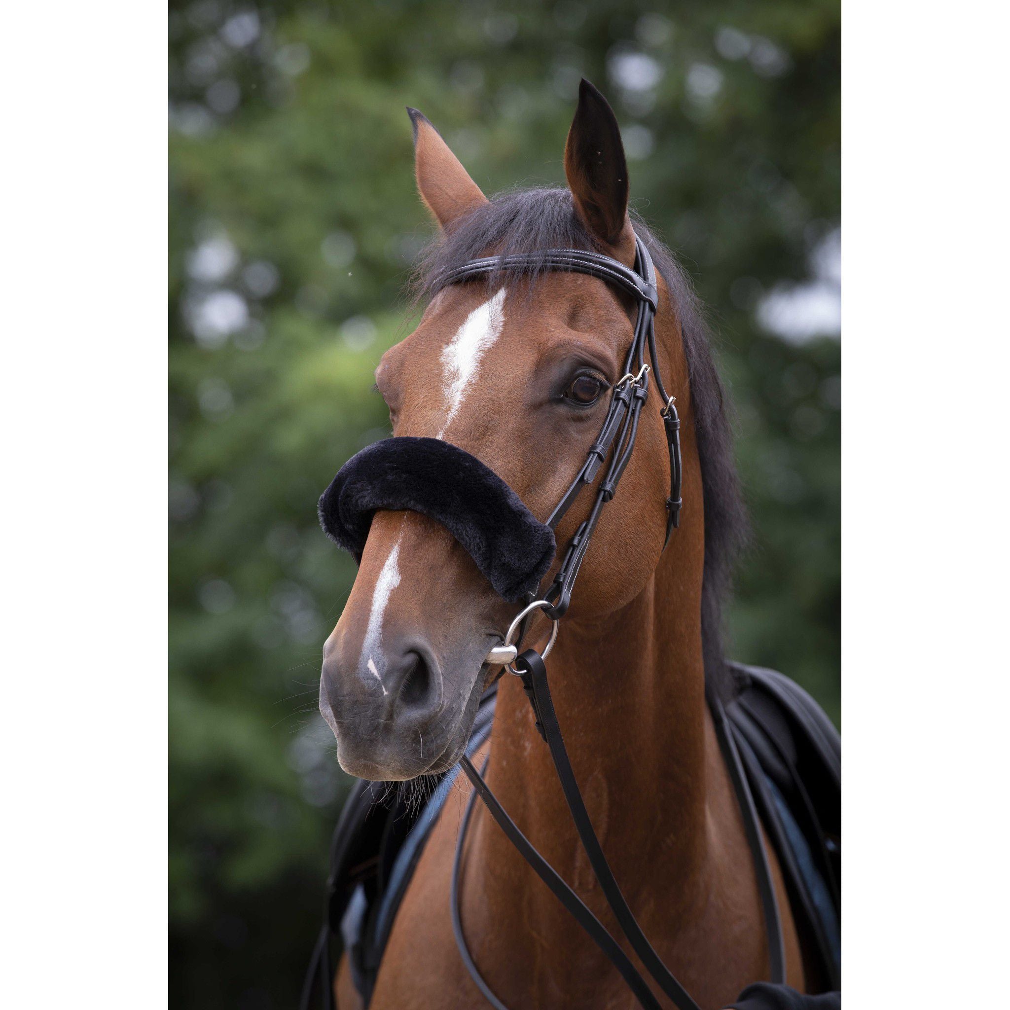 EQUITHÈME Teddy noseband sleeve Black 207501302