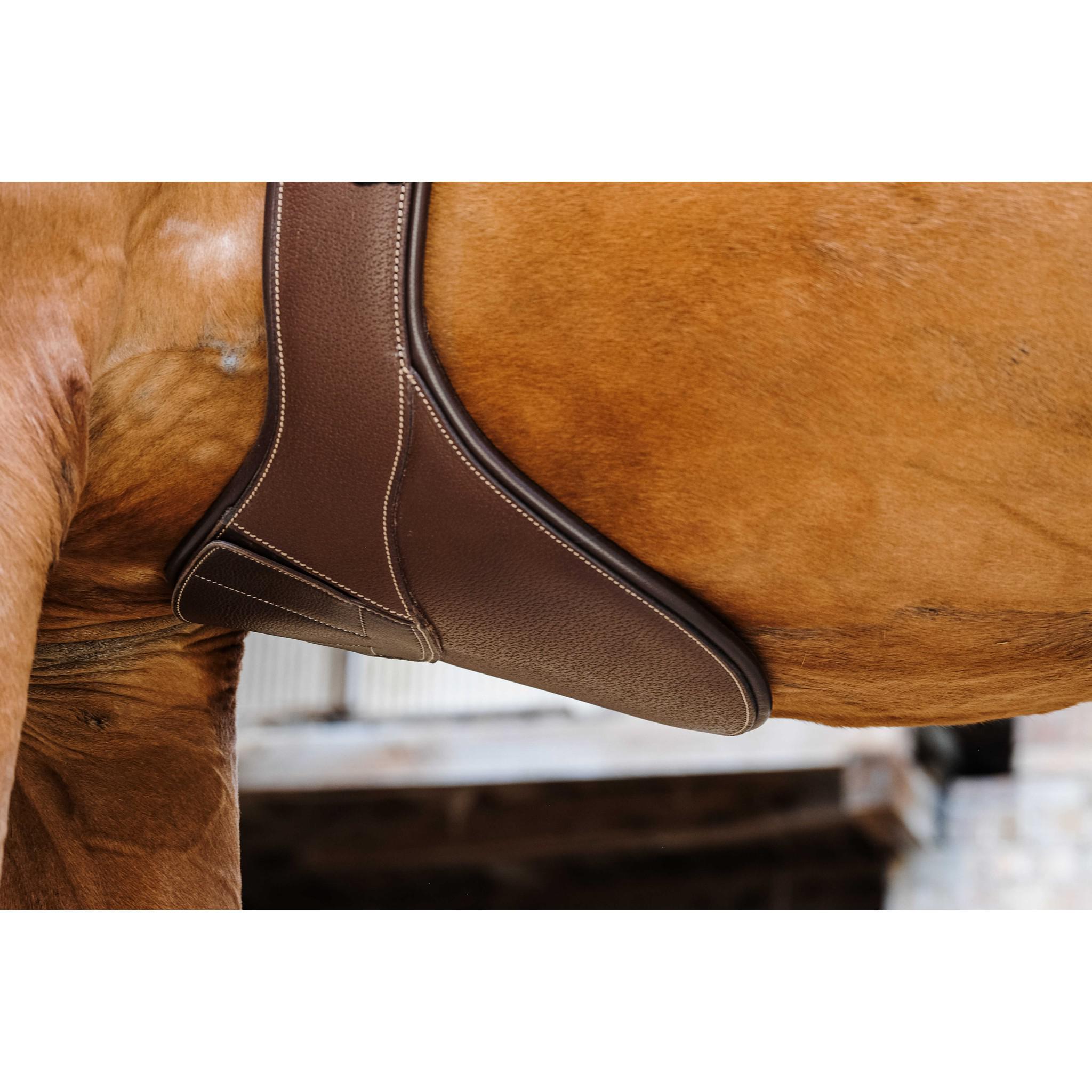 Norton Magnet Belly protector girth Havana 203146425