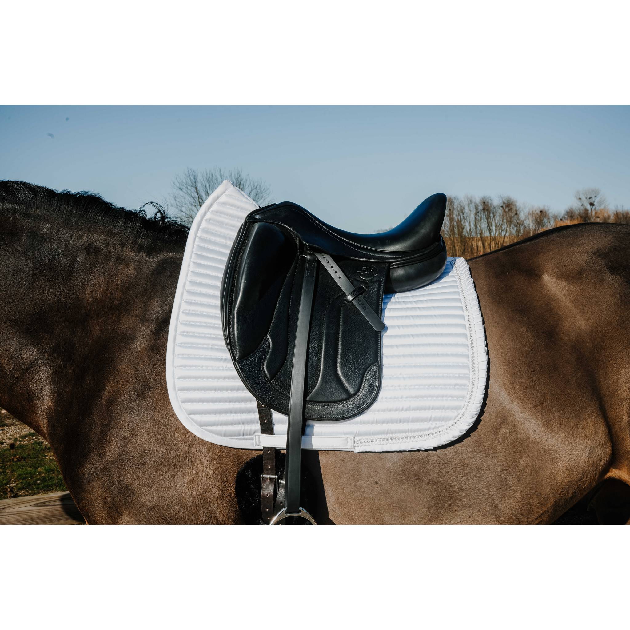 EQUITHÈME Glam Dressage Saddle Pad White - 204025001_ambi_1