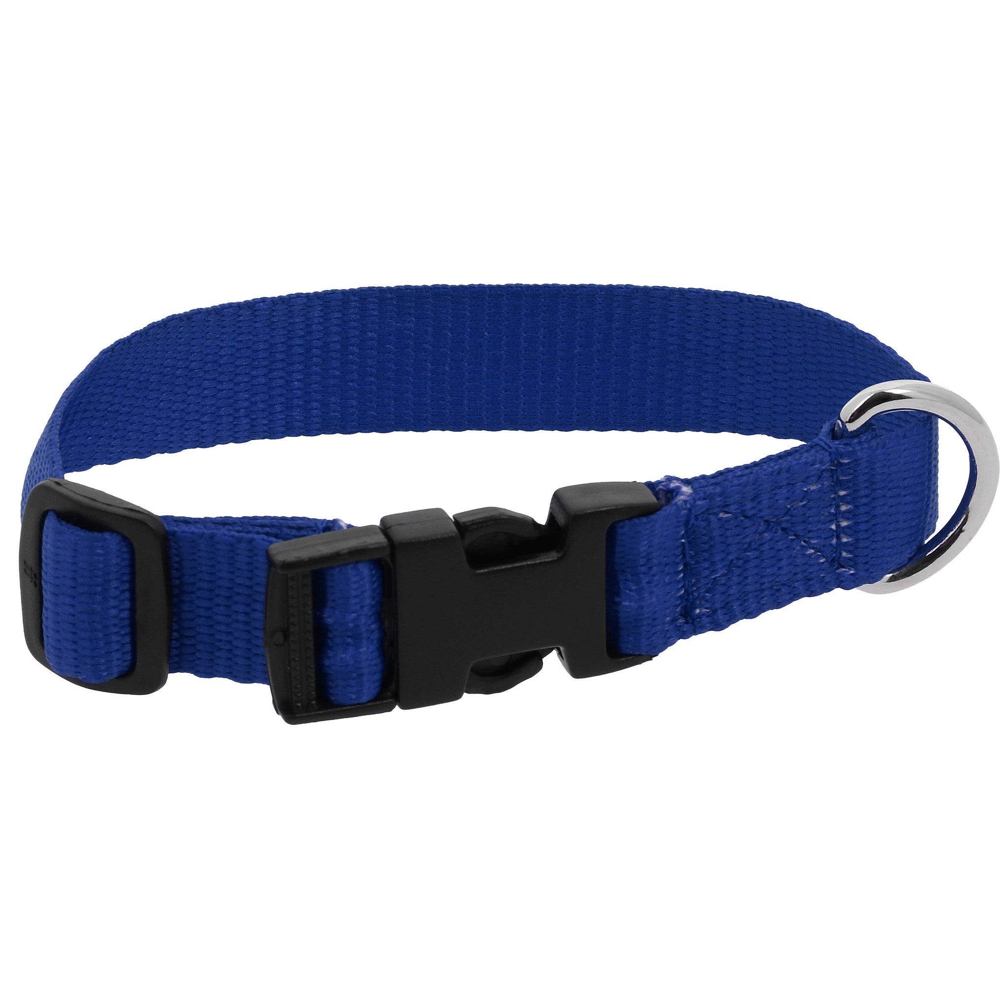Riding World Pat Dog collar Royal blue 409058630