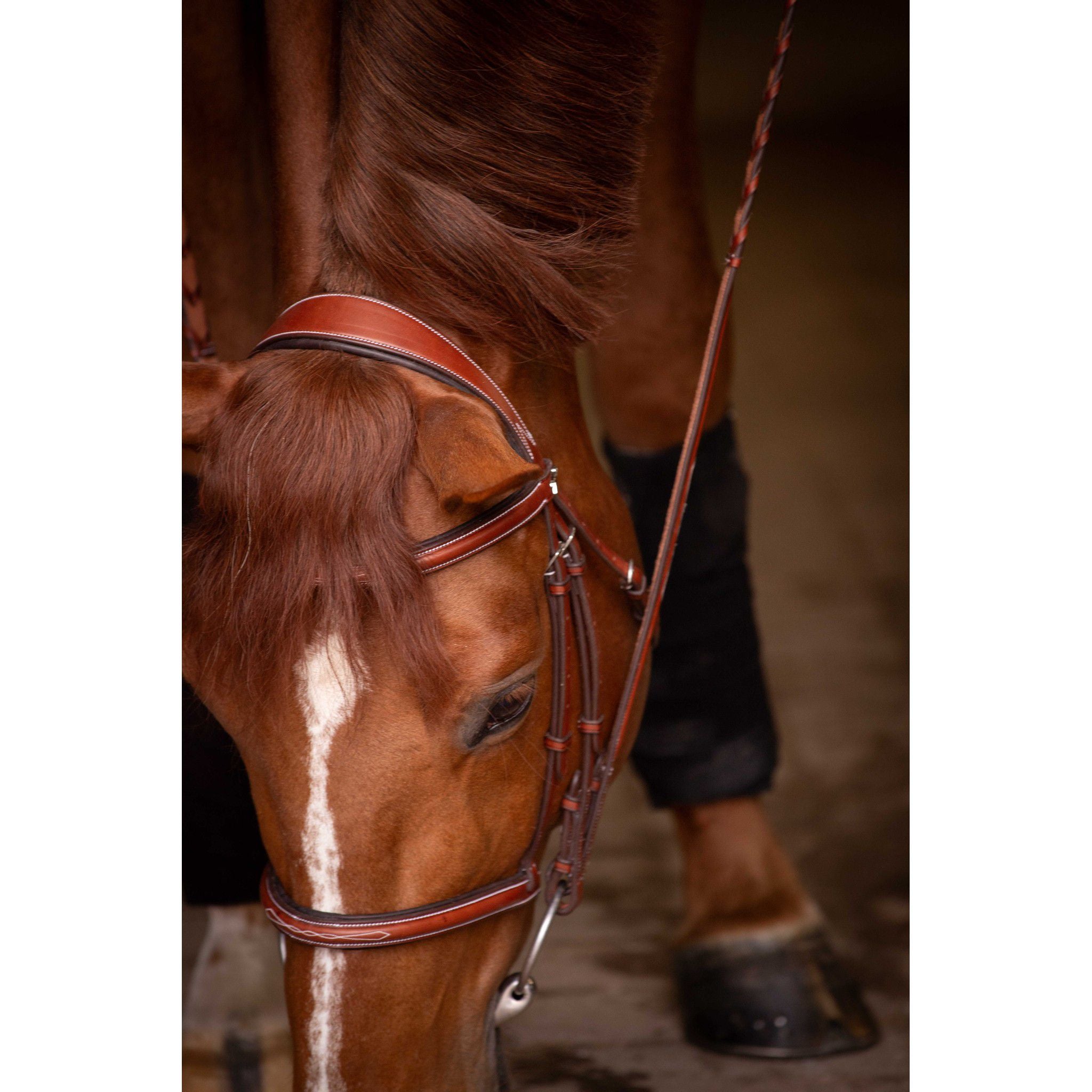 Pénélope Hunter US Bridle Chestnut 301610304