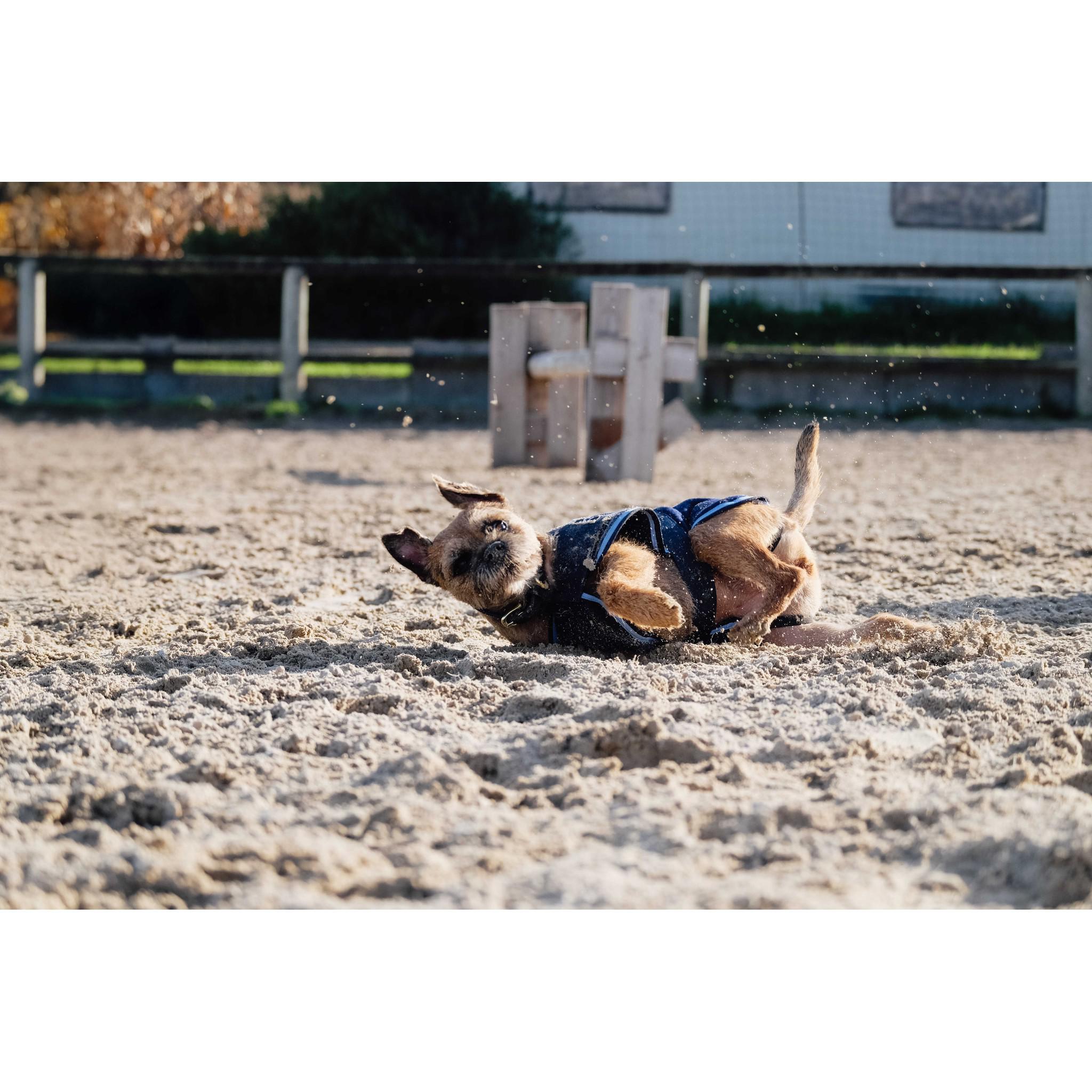 Riding World Fleece Dog rug Navy blue 409099760