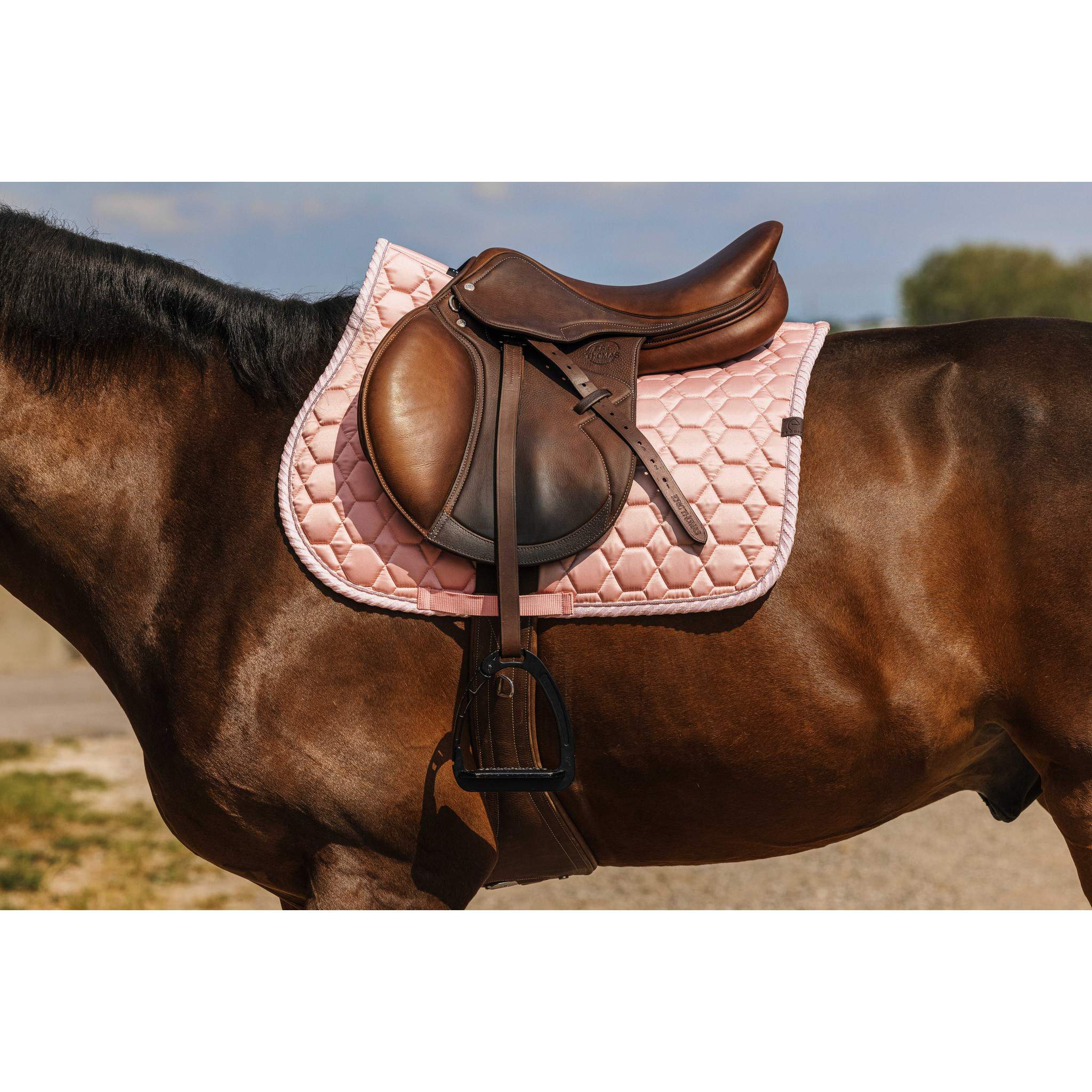EQUITHÈME Pretty Saddle Pad - All purpose Pink 204010013