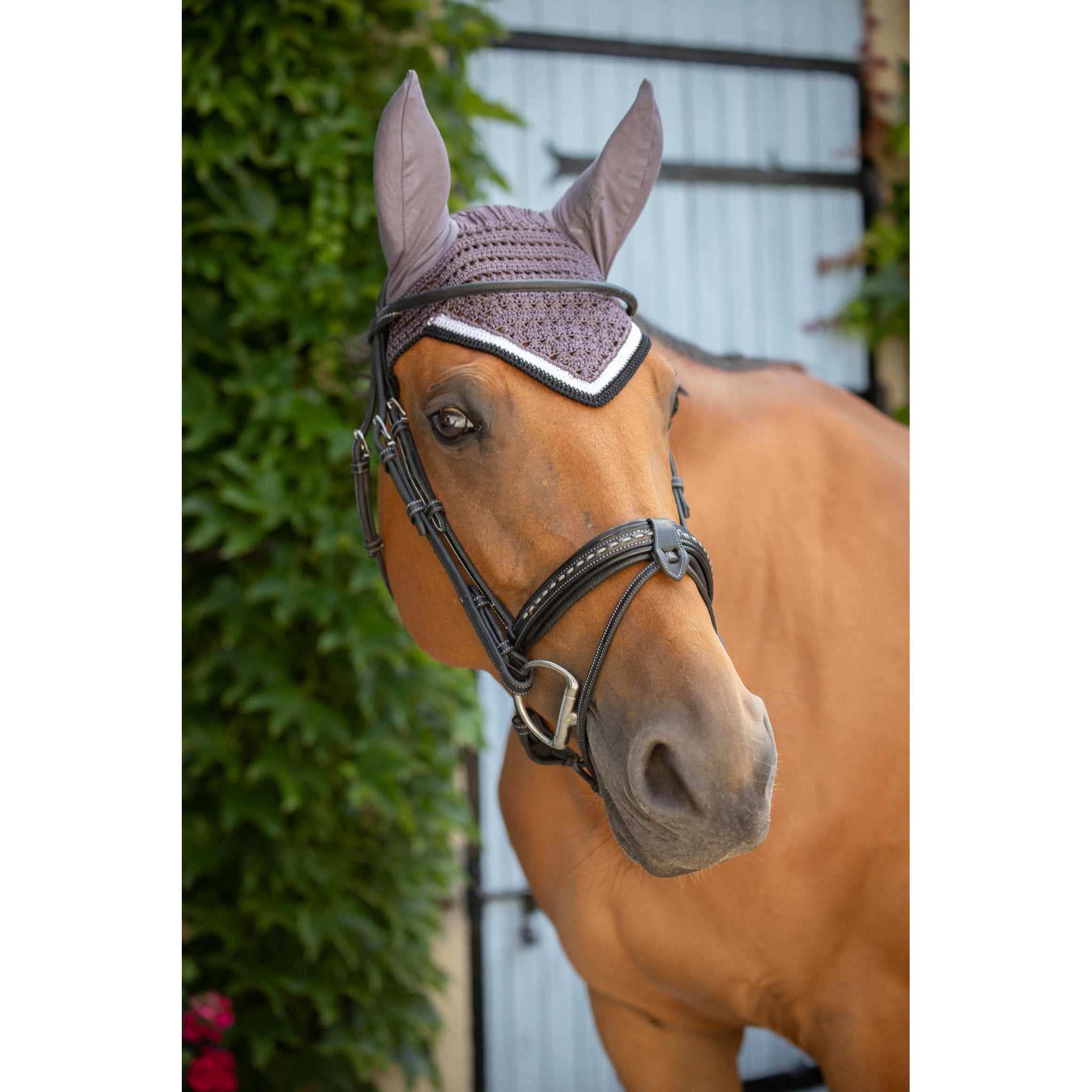 Paddock Sports Origine Fly Veil Dark grey - 306988031_ambi_3