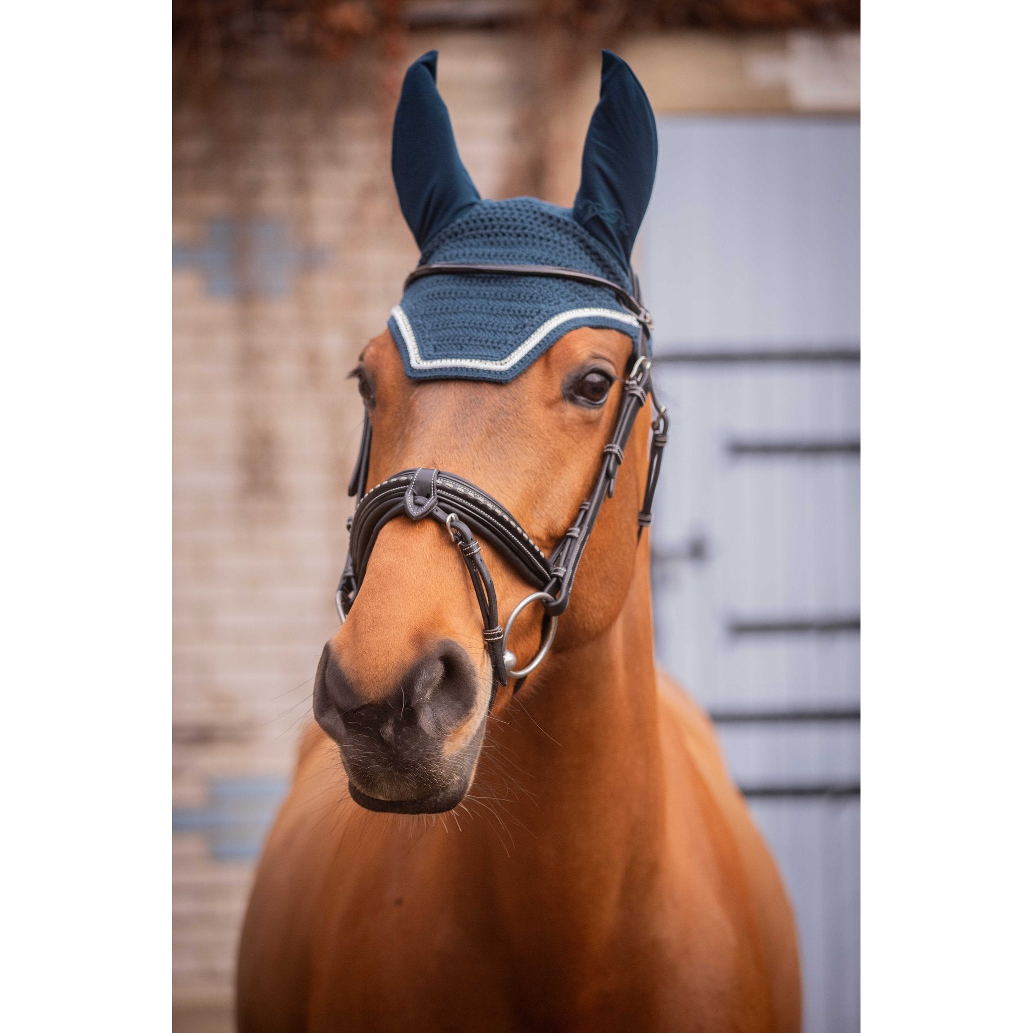 Pénélope Diamant Fly Veil Peacock blue /white - 306894040_ambi_1