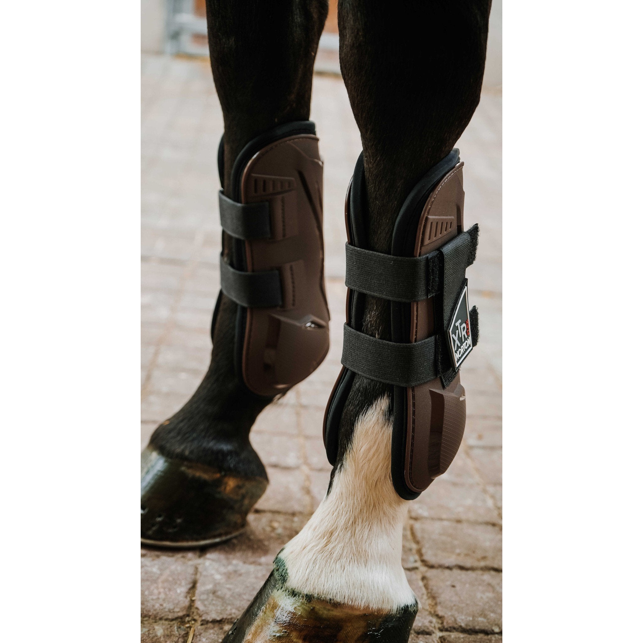 Norton XTR Flex Velcro Tendon Boots chestnut brown 530677304