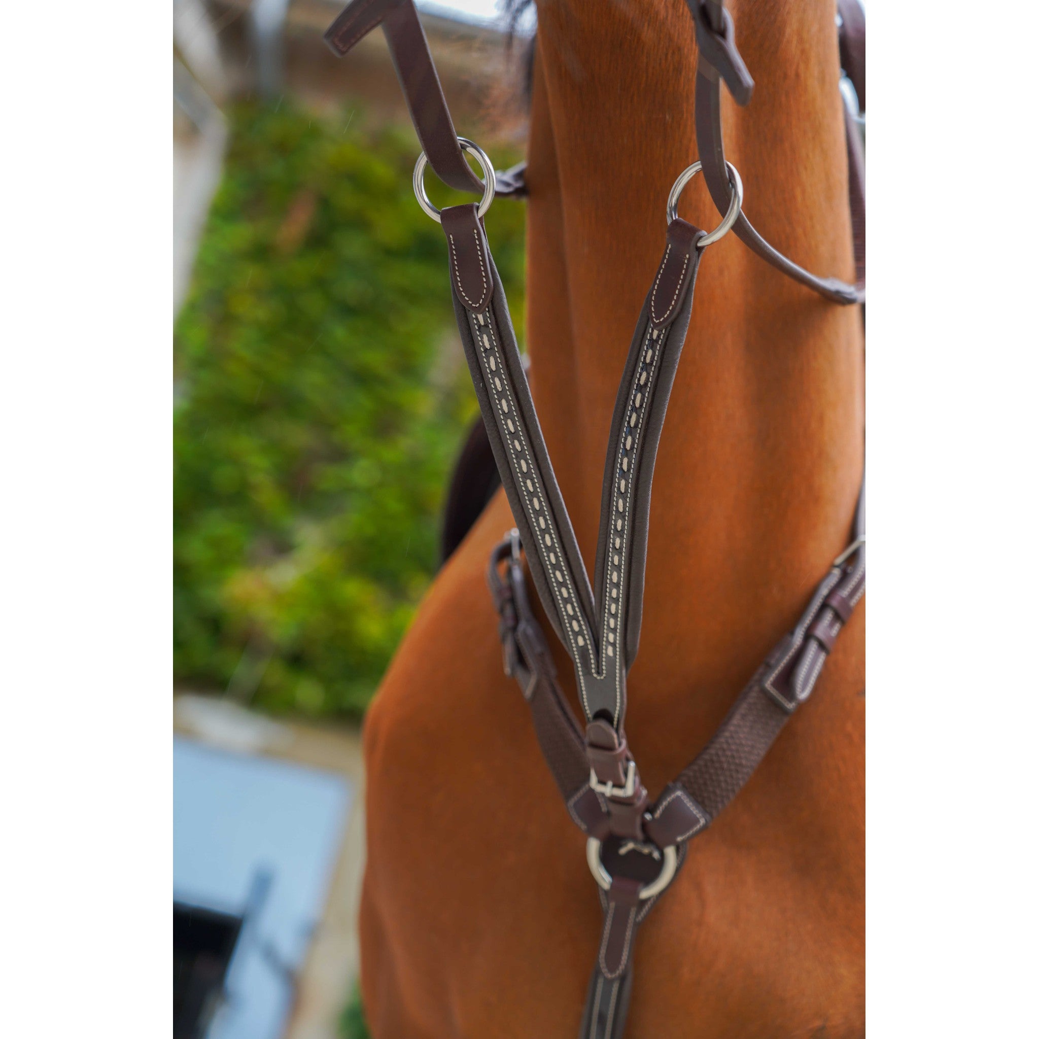Pénélope Point Sellier Martingale Attachment Havana 306153018