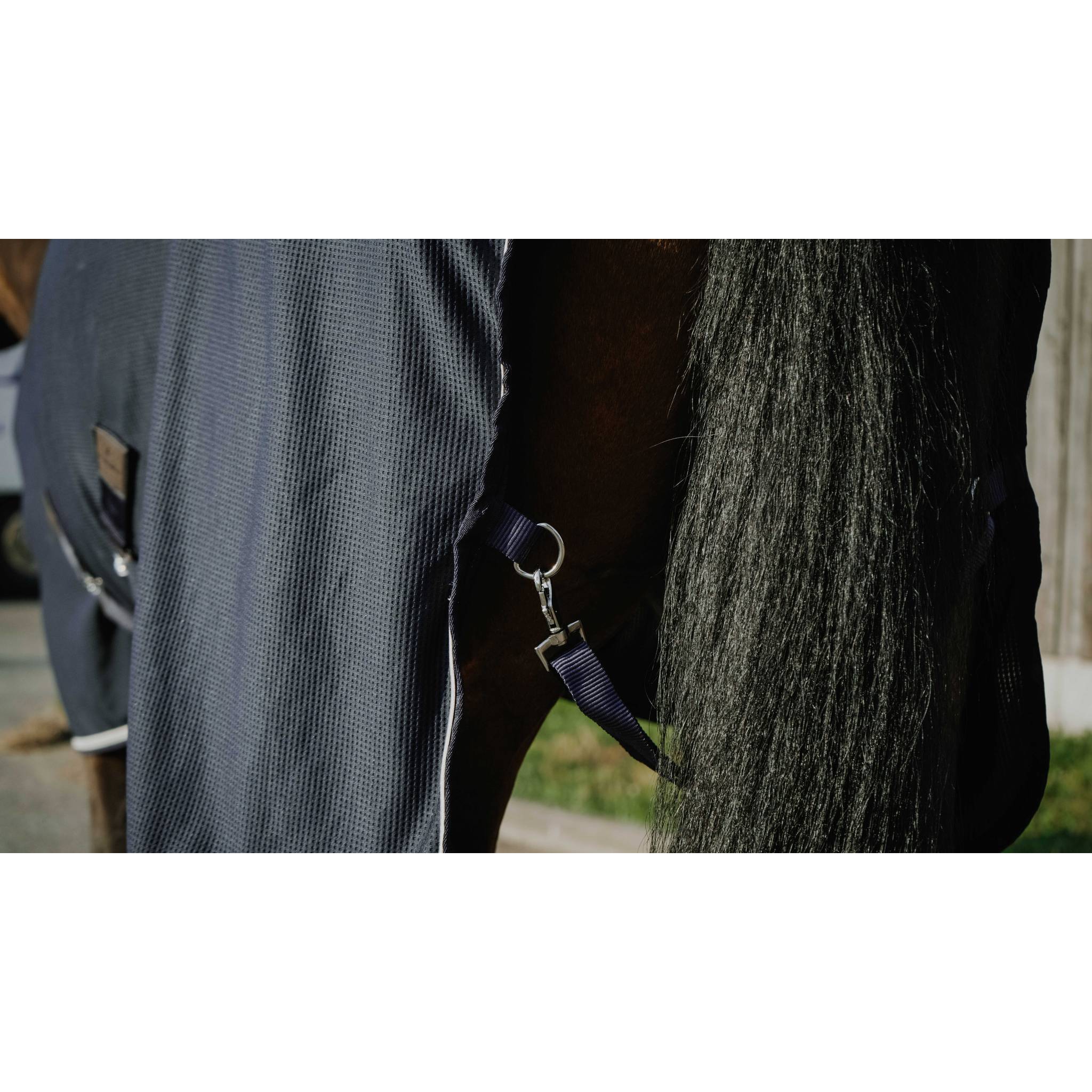 EQUITHÈME Drycool Shirt Navy blue - 400002063_zoom_1