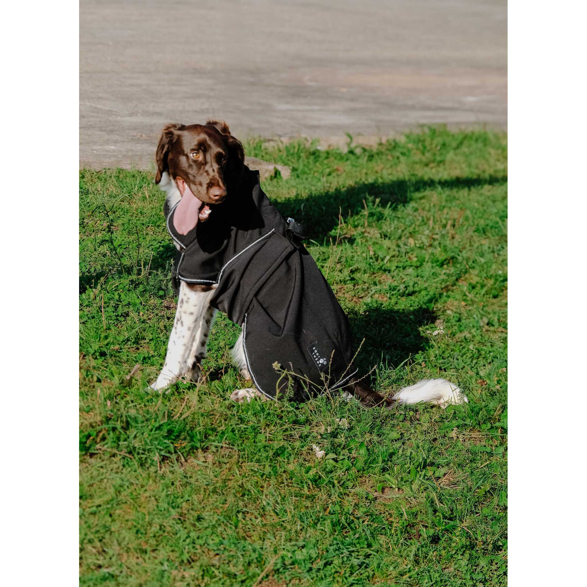 EQUITHÈME Softshell dog rug Black 409034260