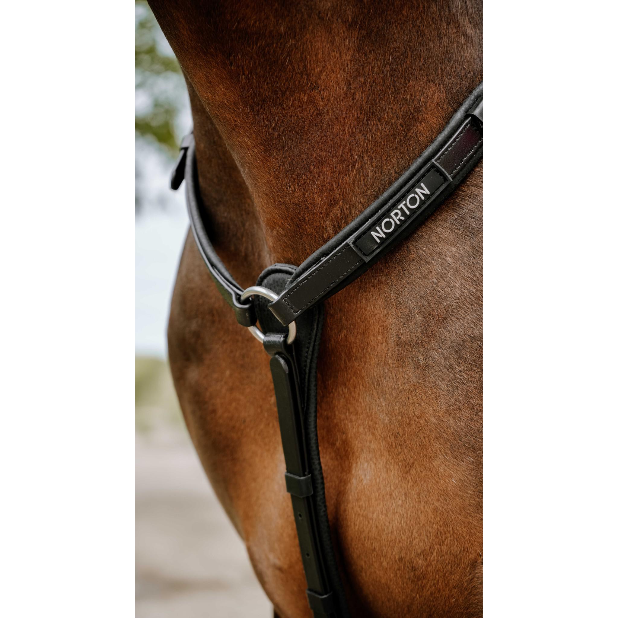 Norton Pop Breastplate Black 306617302