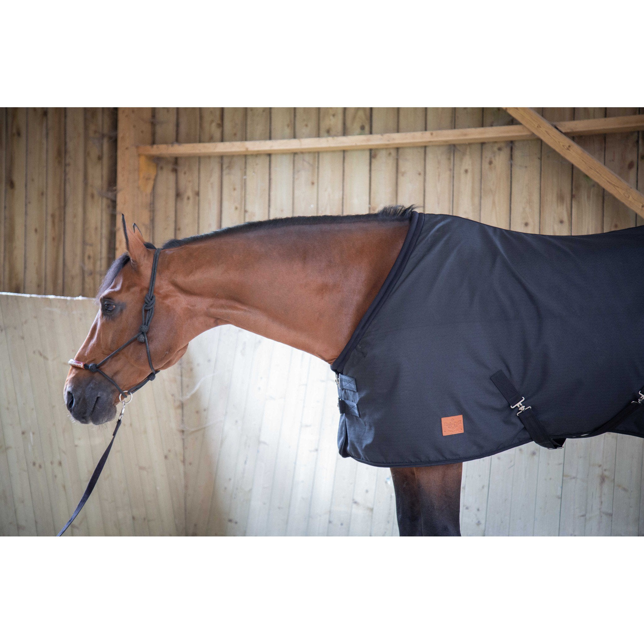 Paddock Sports Ripstop stable sheet Black 400012259