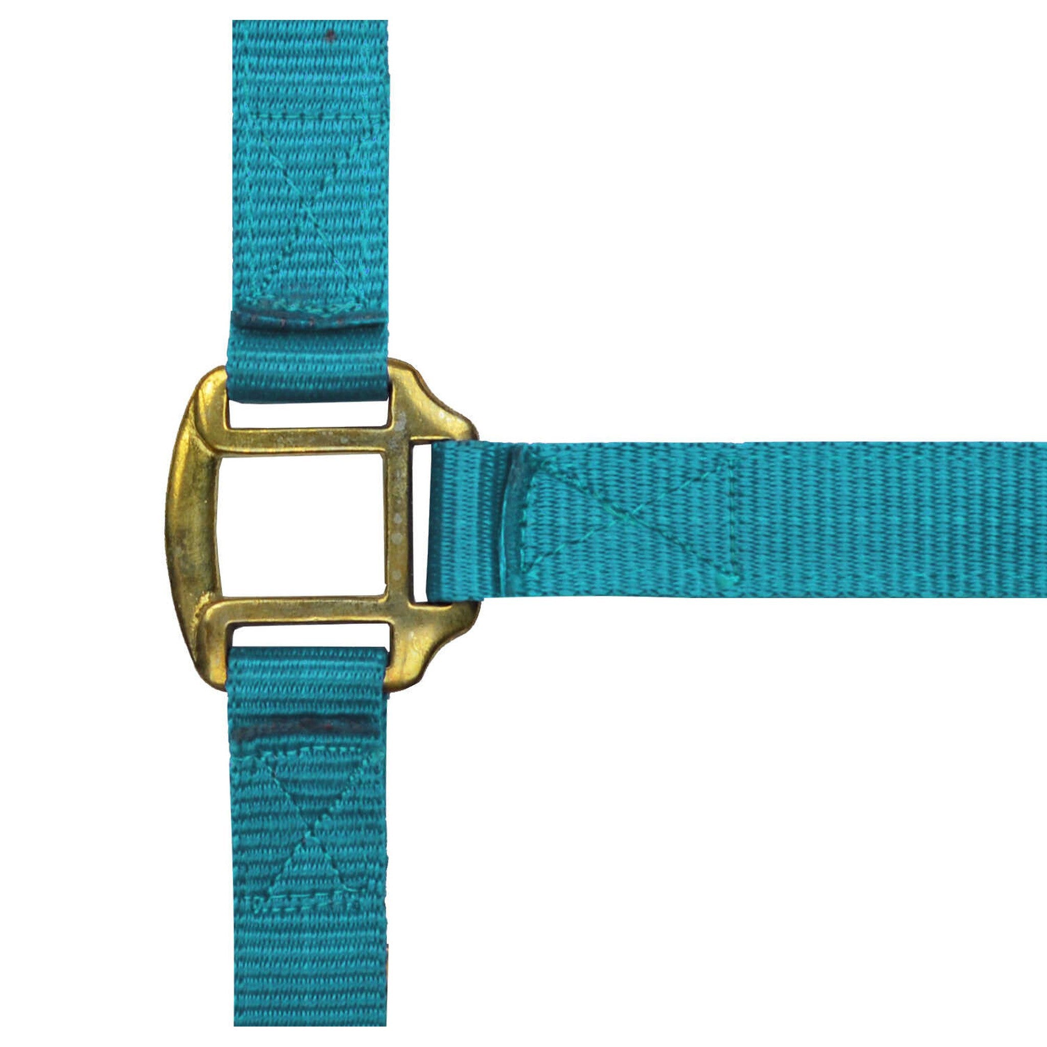 Norton Leather lined nylon headcollar Turquoise 510185017