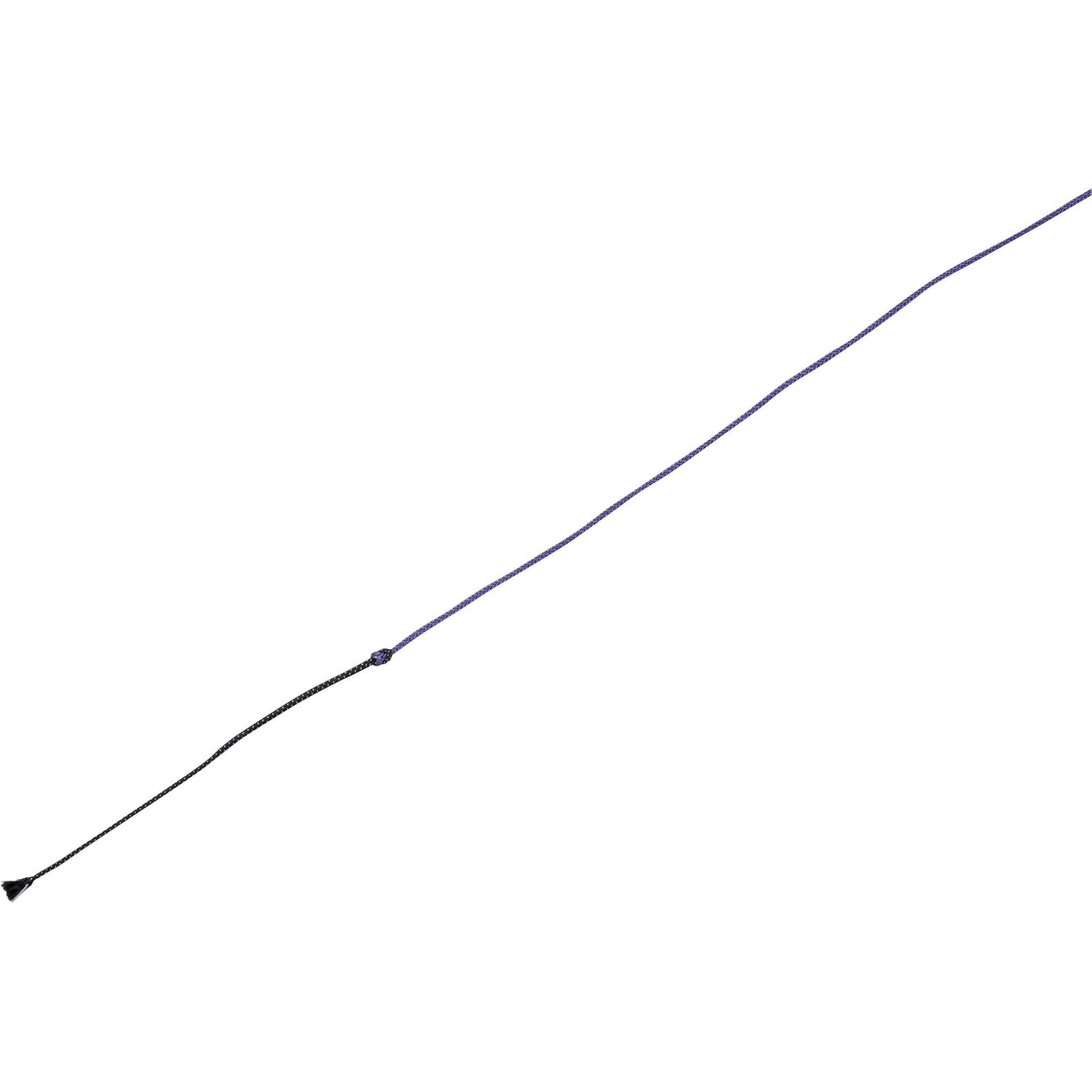 WHIP & GO - Tourillon - Lunge Whip Purple/grey 953401015