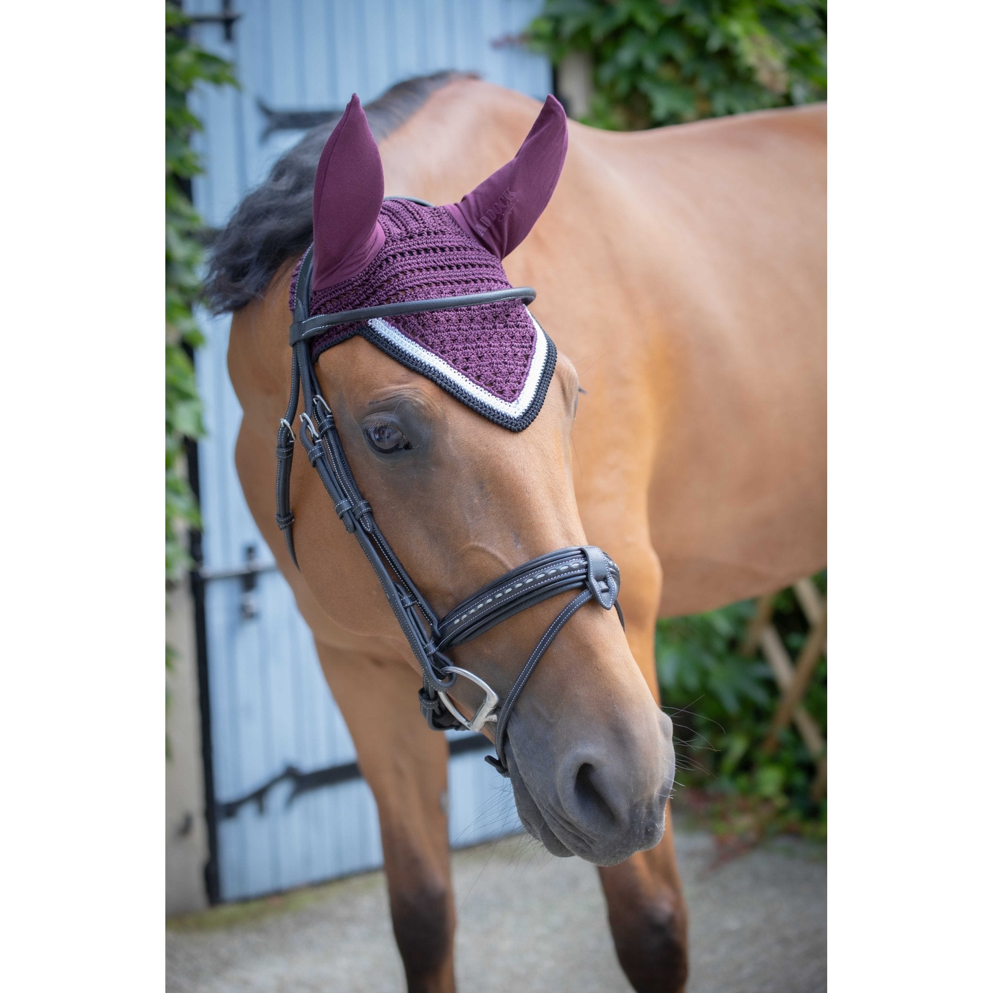 Paddock Sports Origine Fly Veil Plum - 306988034_ambi_1