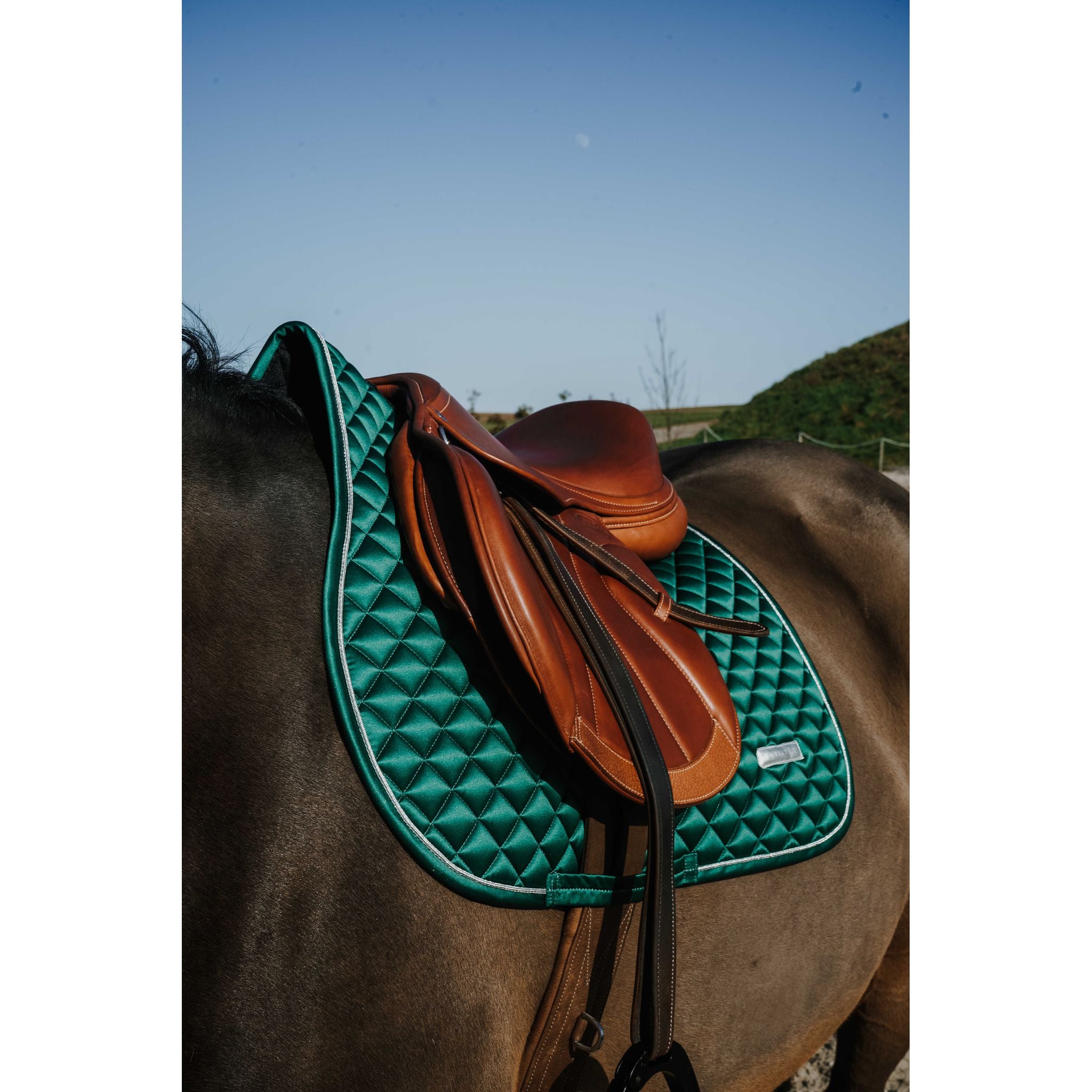 EQUITHÈME All-Purpose Saddle Pad - Mother of Pearl Dark green - 204029009_ambi_2