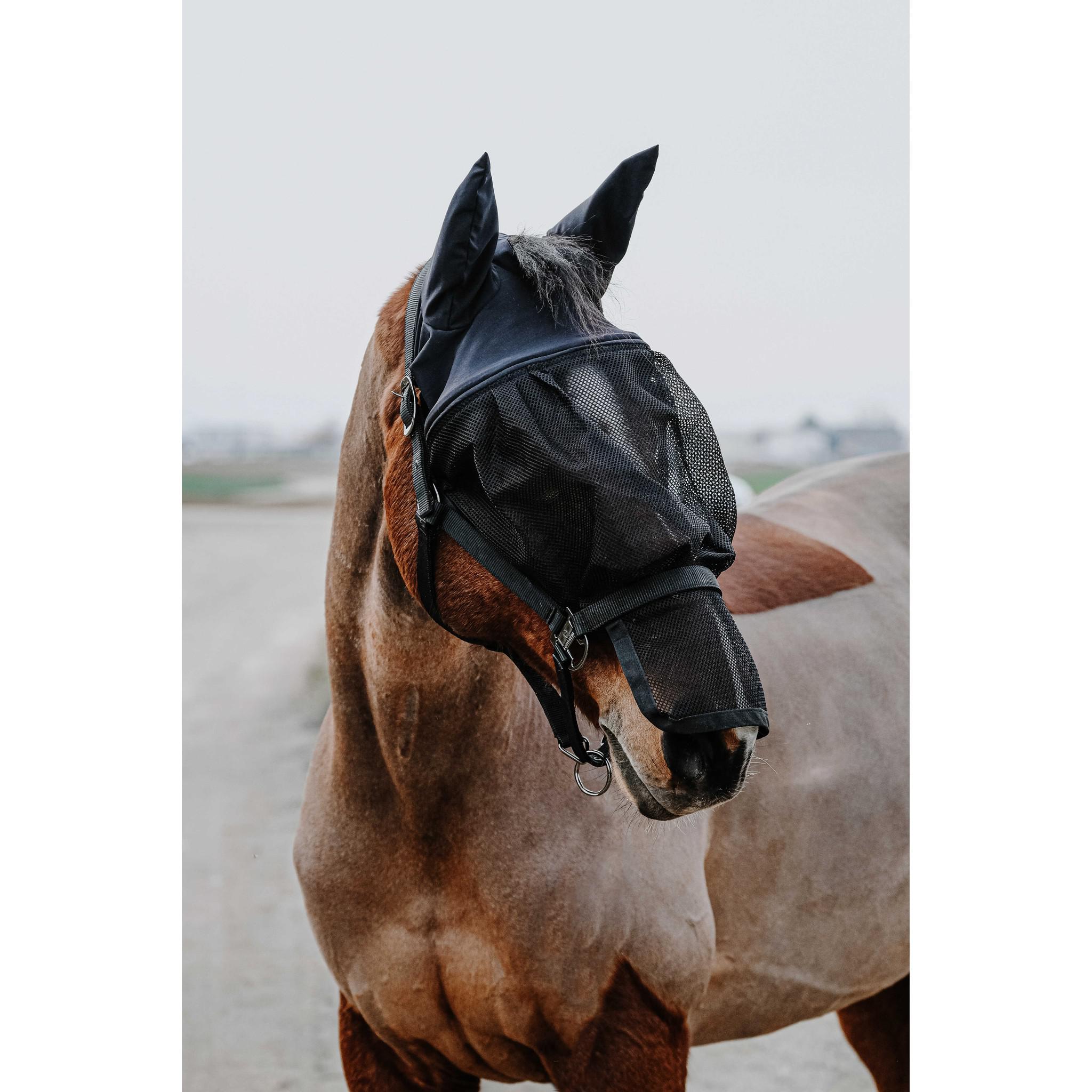 EQUITHÈME Halter + fly mask Black 510062003