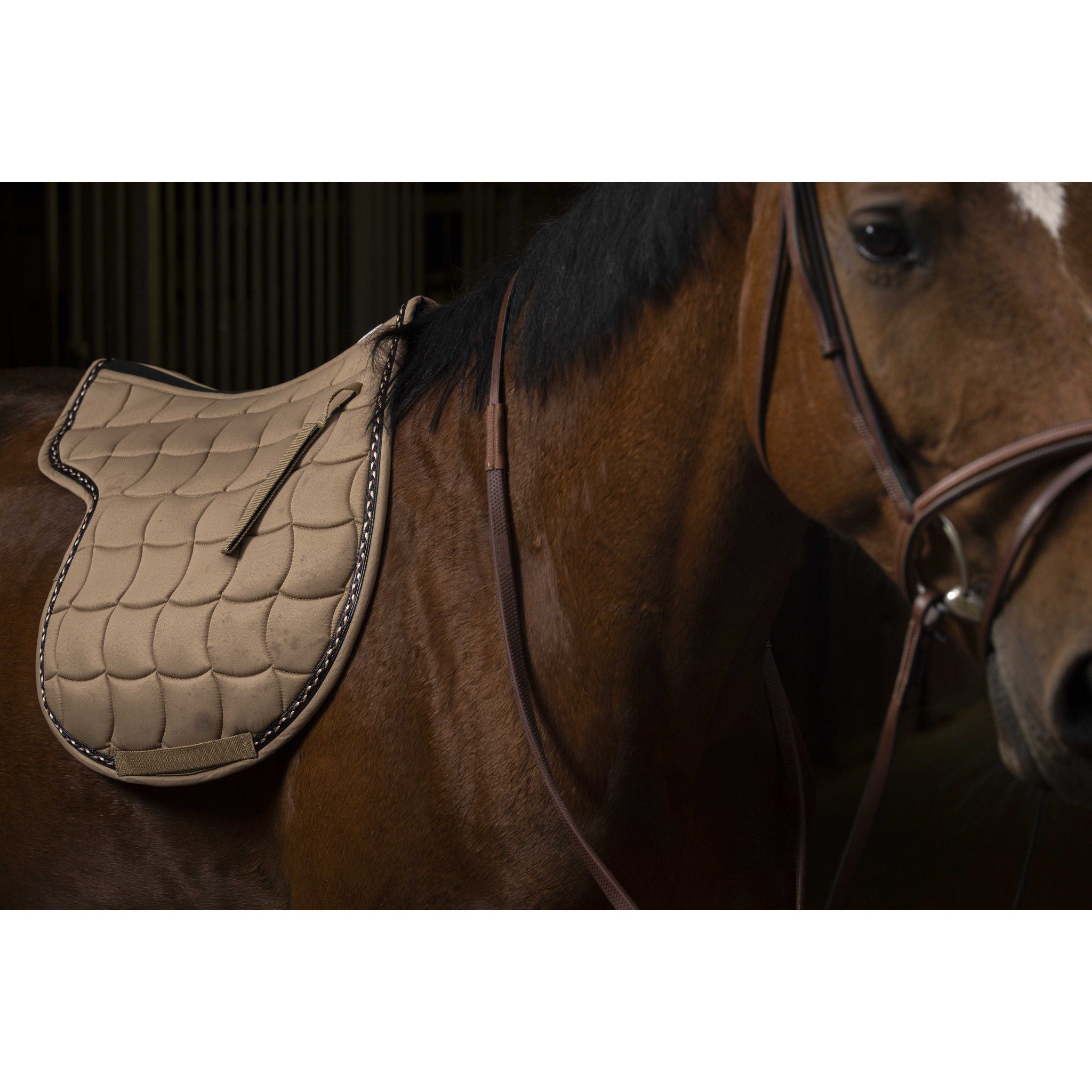 EQUITHÈME Saddle pad - Hunter Camel 204475005