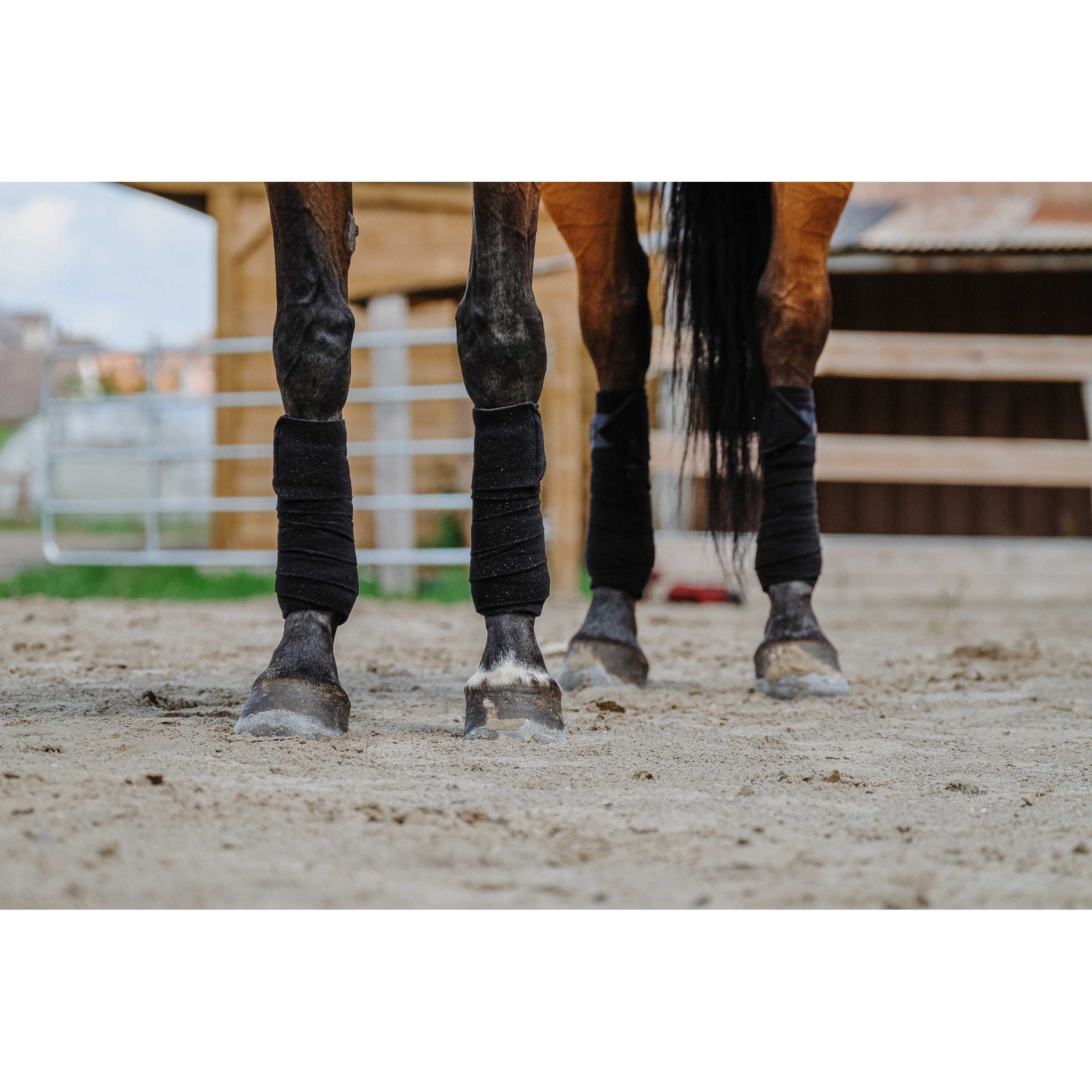 EQUITHÈME Polo Wraps Black 540068002