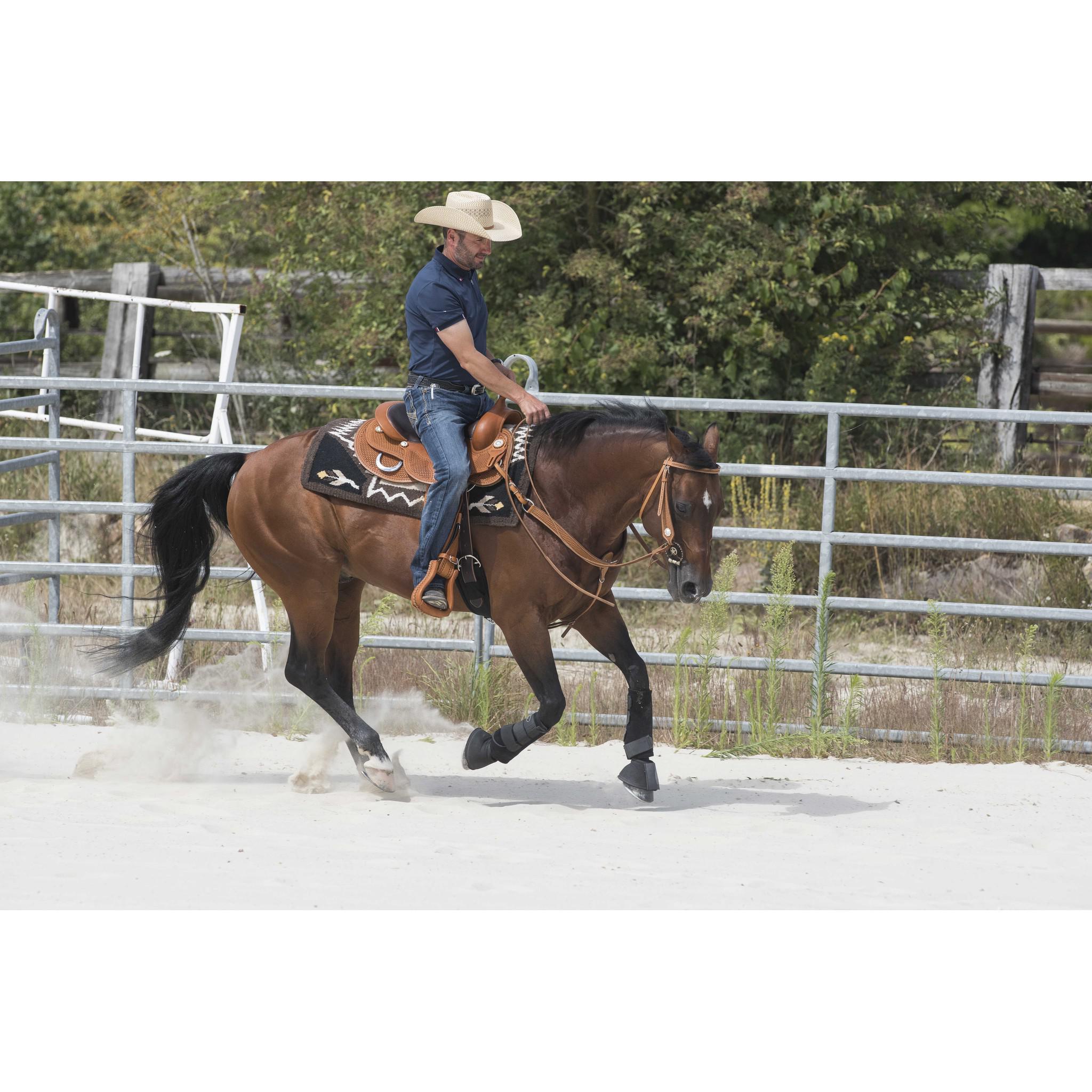 Westride Aurora Saddle by Franck Perret Chestnut 800043016