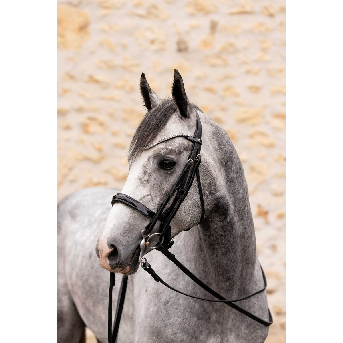 K by EQUITHÈME K-Link Reins - Black - 305027302_ambi_1