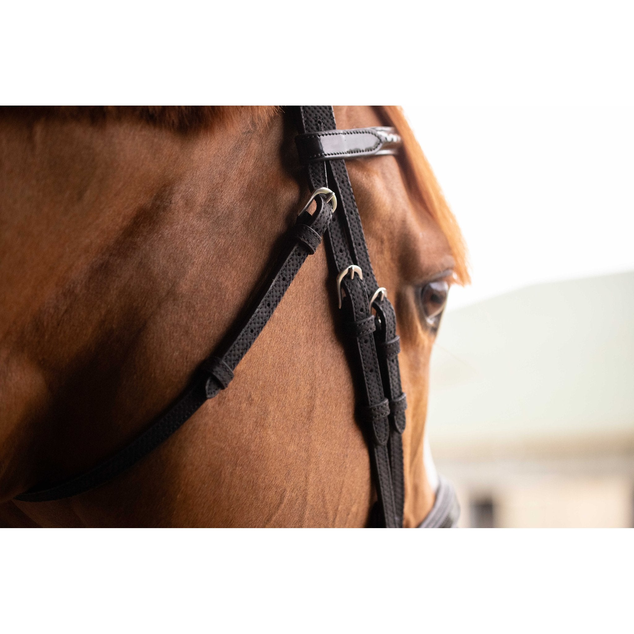 Penelope Oxford Bridle Black - 301608302_ambi_4