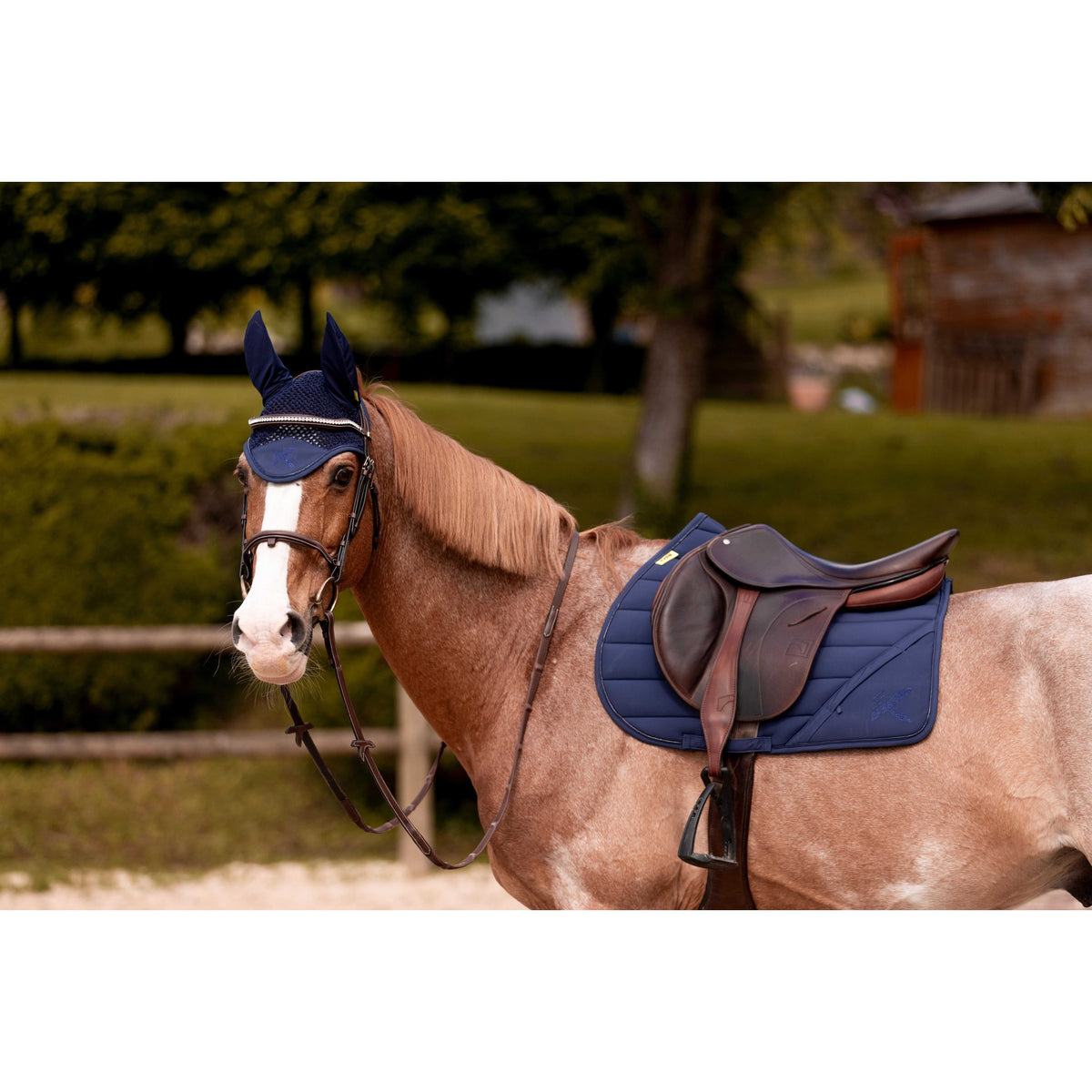 K by EQUITHÈME K-Vega Fly Veil - Navy blue - 306895307_ambi_2