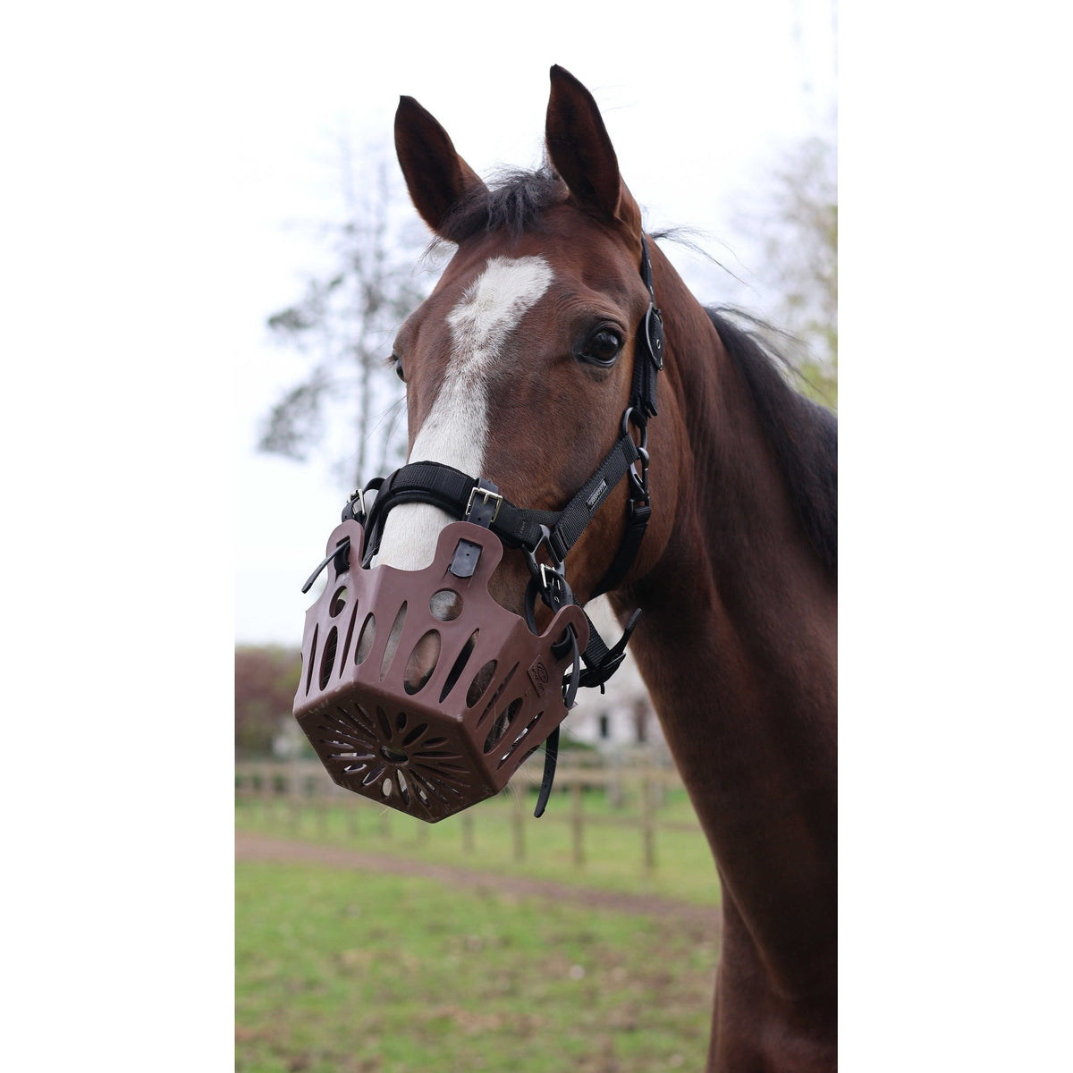 Lami-Cell Replacement Fasteners for Grazing Muzzle - Black - 309002002_ambi_5