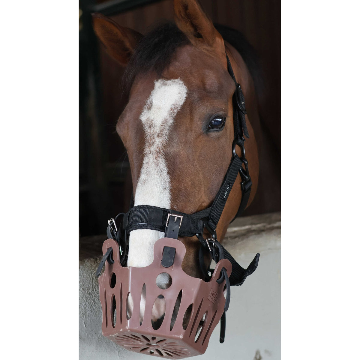 Lami-Cell Replacement Fasteners for Grazing Muzzle - Black - 309002002_ambi_9