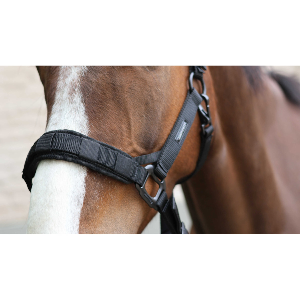Lami-Cell 2-in-1 Halter for Grazing Muzzle - 309003302_ambi_19