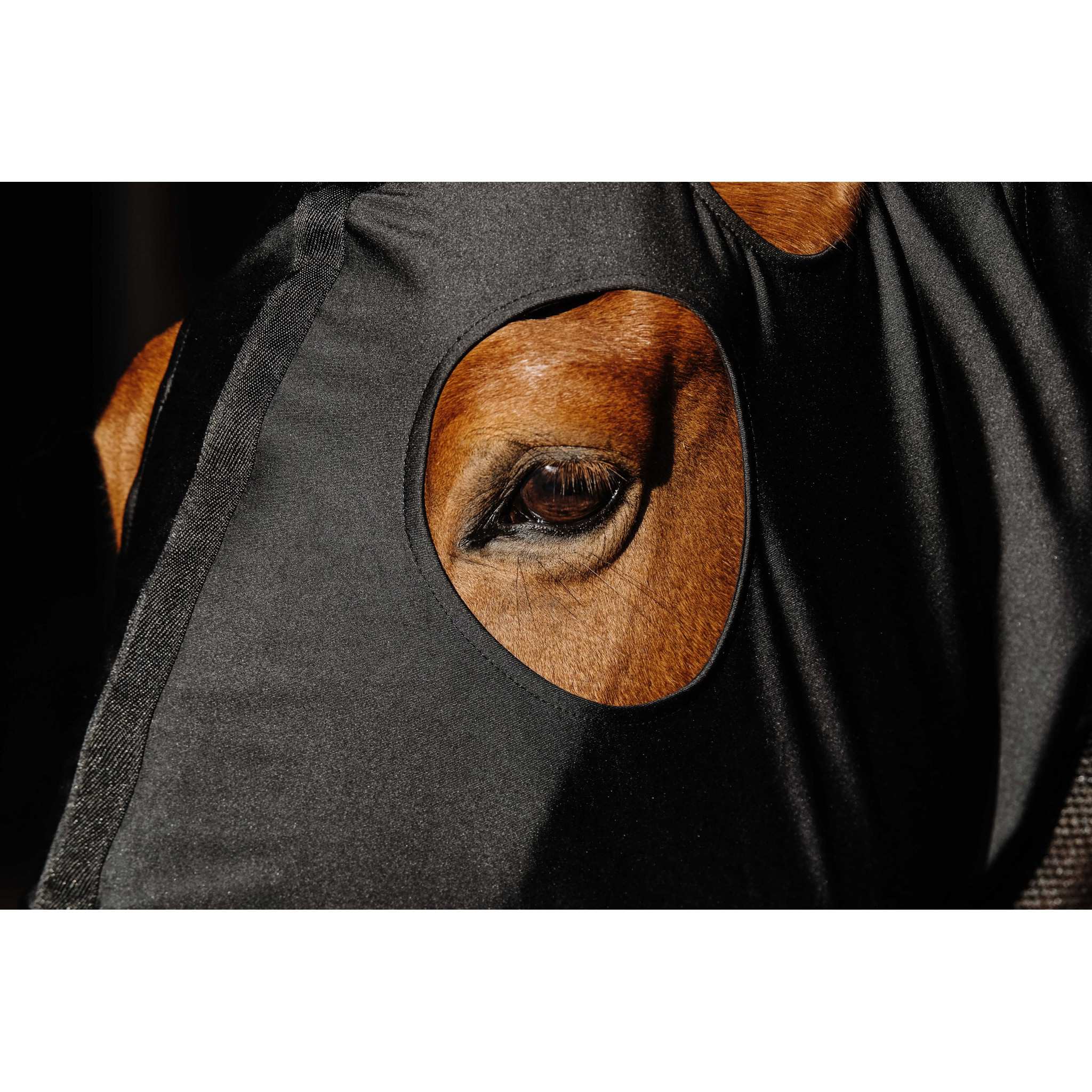 EQUITHÈME Lycra/Mesh Head and Neck Cover Black 400412202