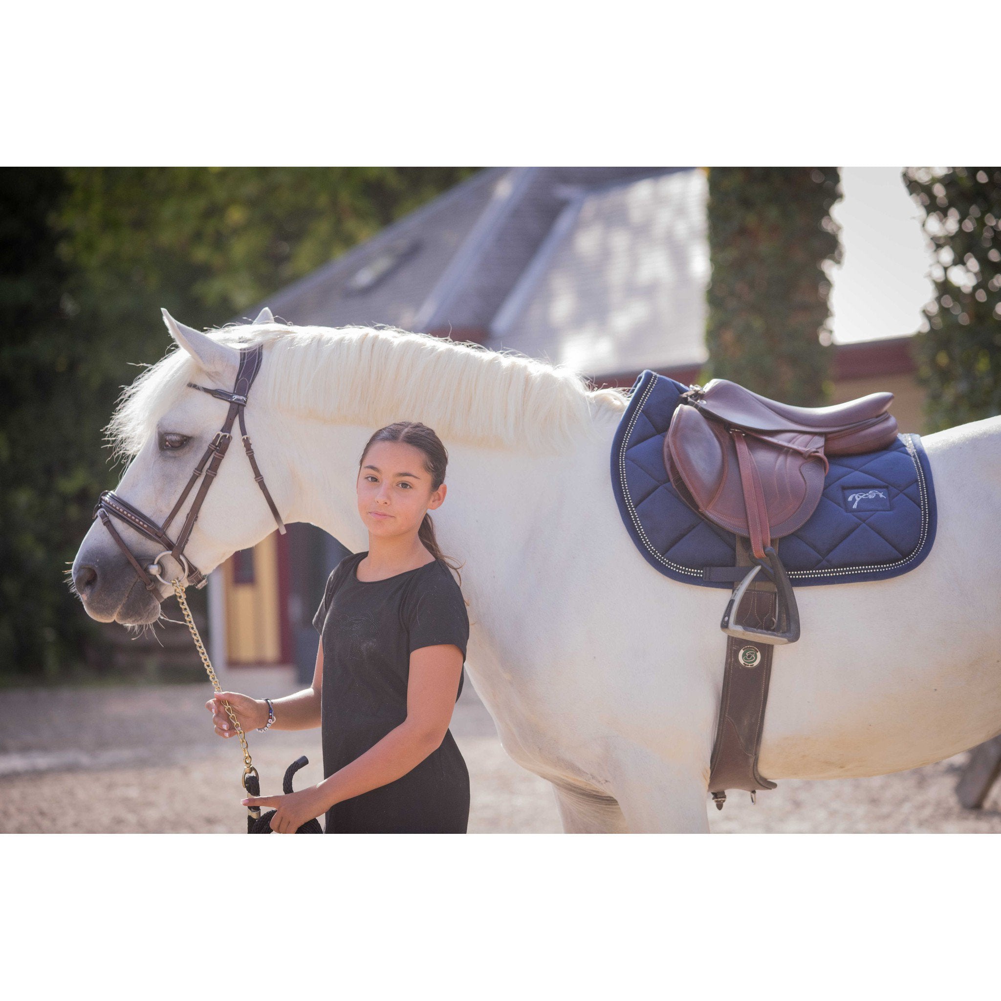Eden by Pénélope New Strass Saddle pad - All purpose Navy blue 204842007