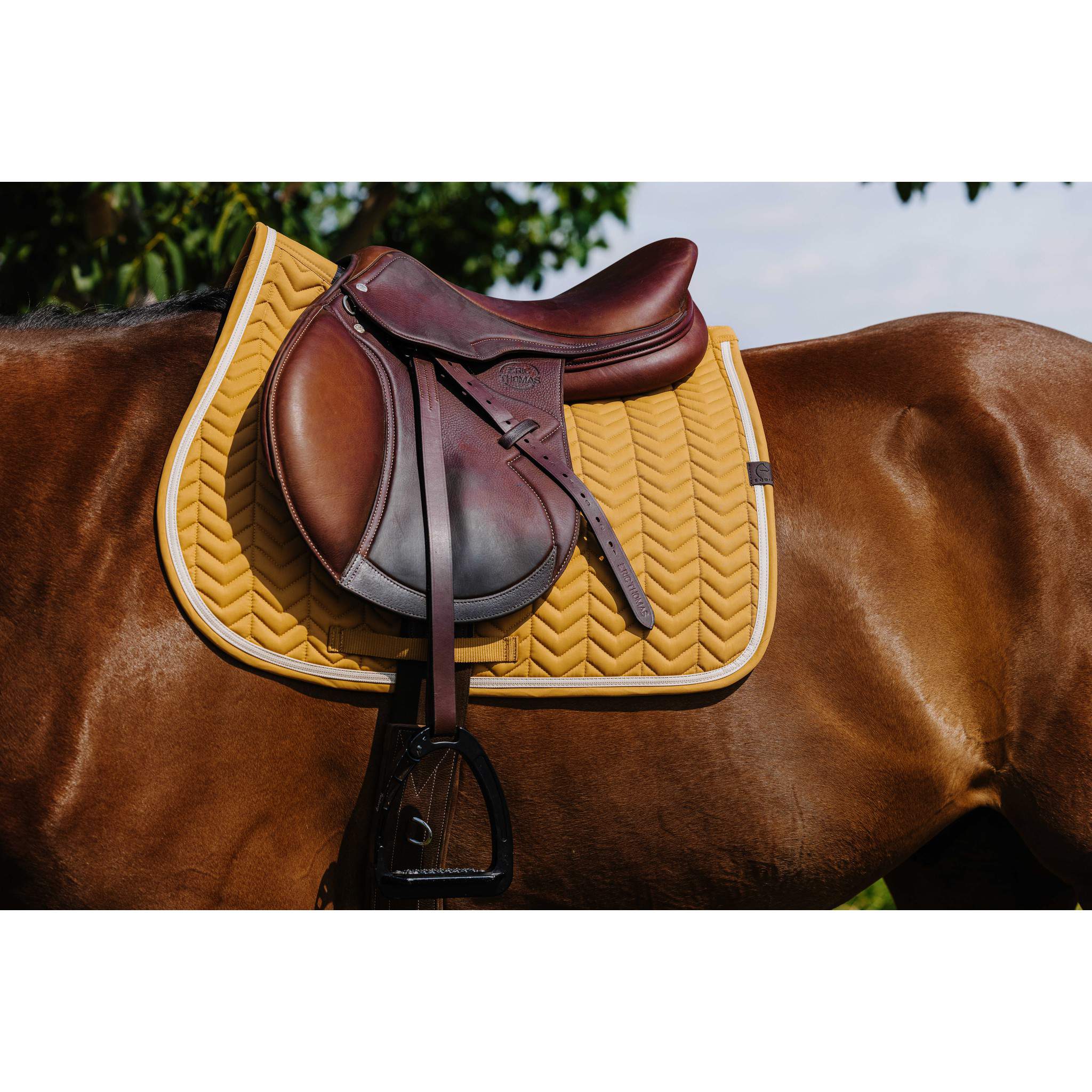 EQUITHÈME Softypop Saddle Pad - All purpose Yellow 204003026