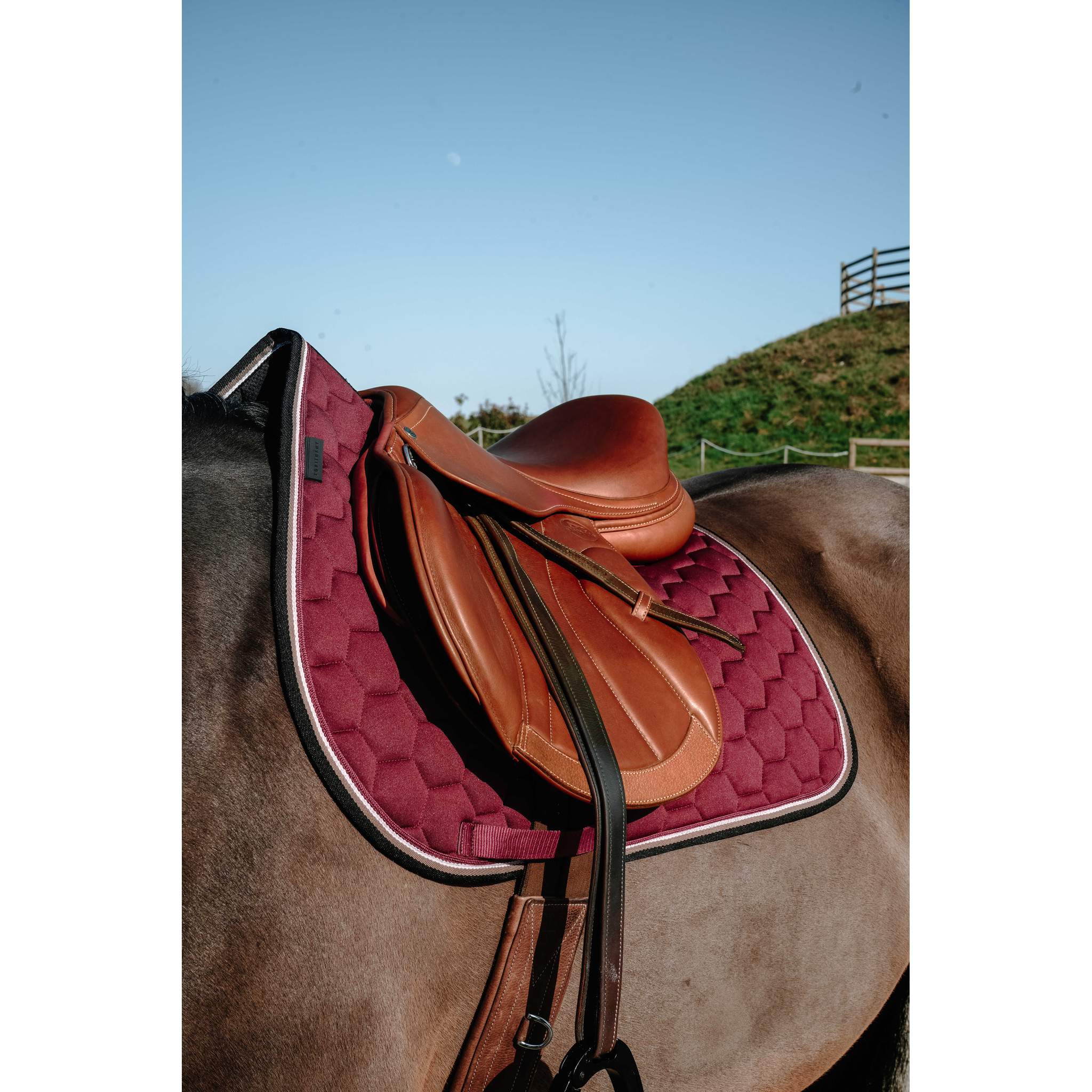 EQUITHÈME All-Purpose Saddle Pad - Coco Burgundy - 204913033_ambi_2